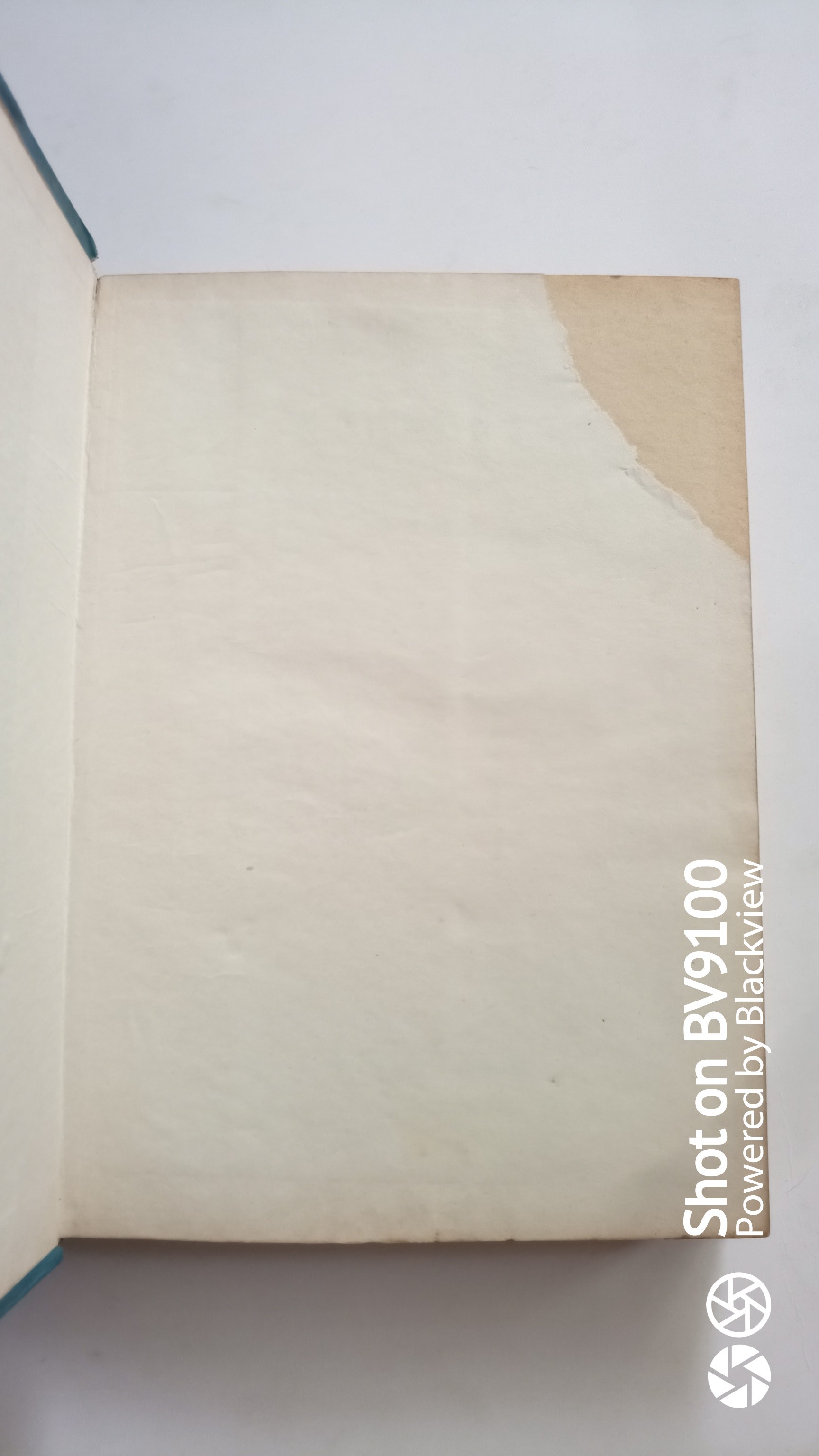 สร้อยมยุรา