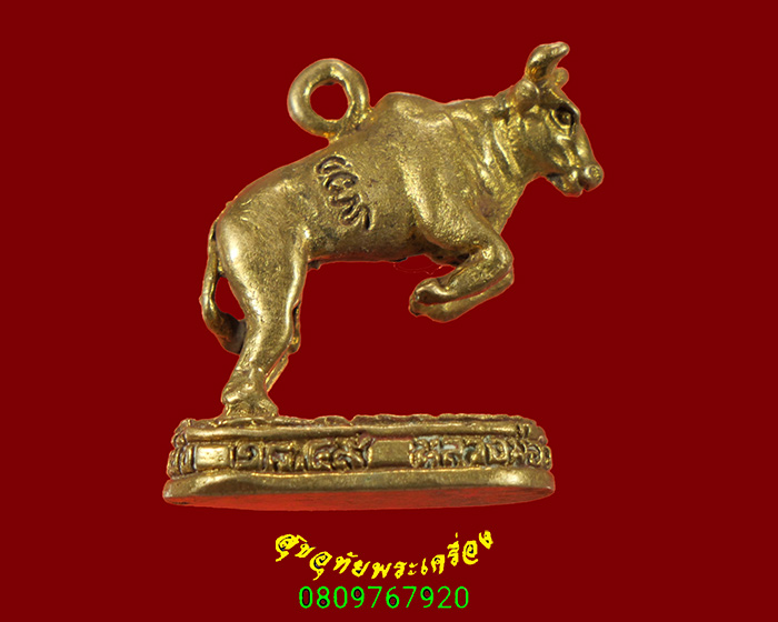 373.วัวธนู หลวงพ่อเขียน วัดกระทิง จ.จันทบุรี ปี2549 เข้มขลัง สวยสมบูรณ์เดิมครับ***3