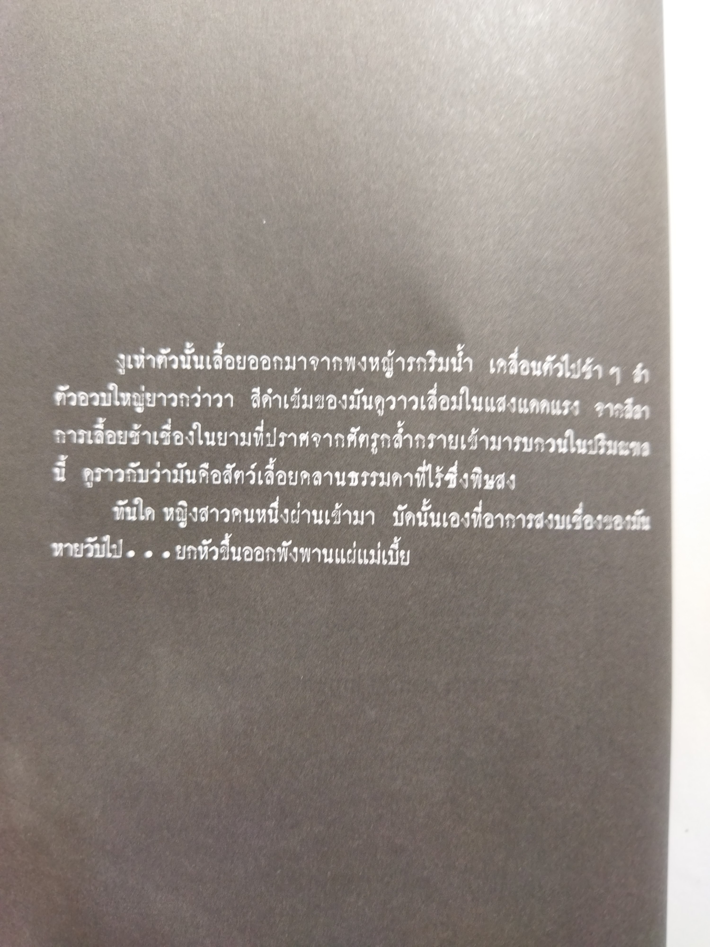 แม่เบี้ย /วาณิช จรุงกิจอนันต์