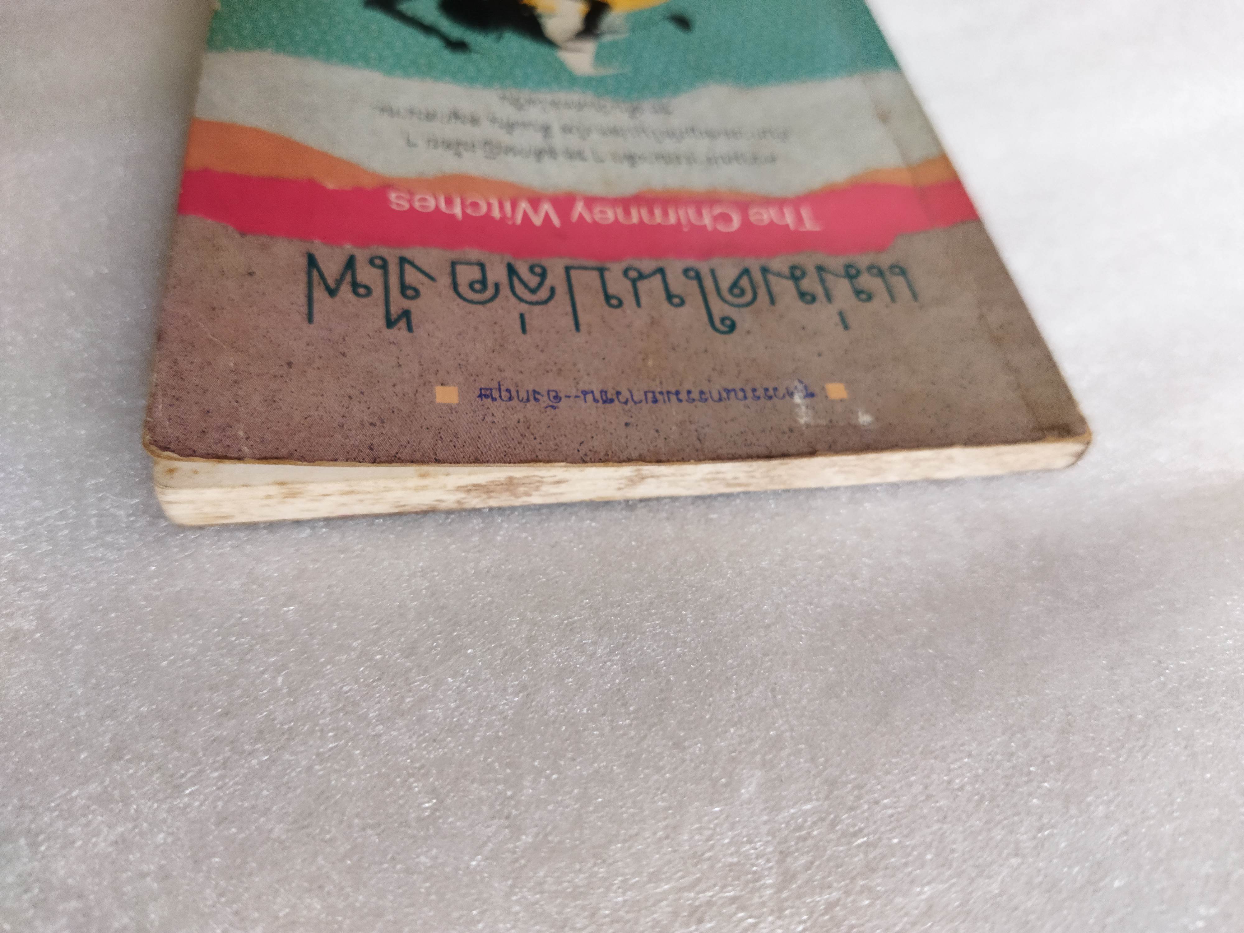 แม่มดในปล่องไฟ The Chimney Witches / วิคตอเรีย ไวท์เฮด