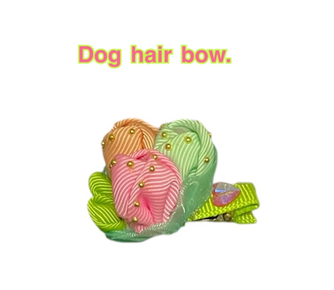Dog hair bow.