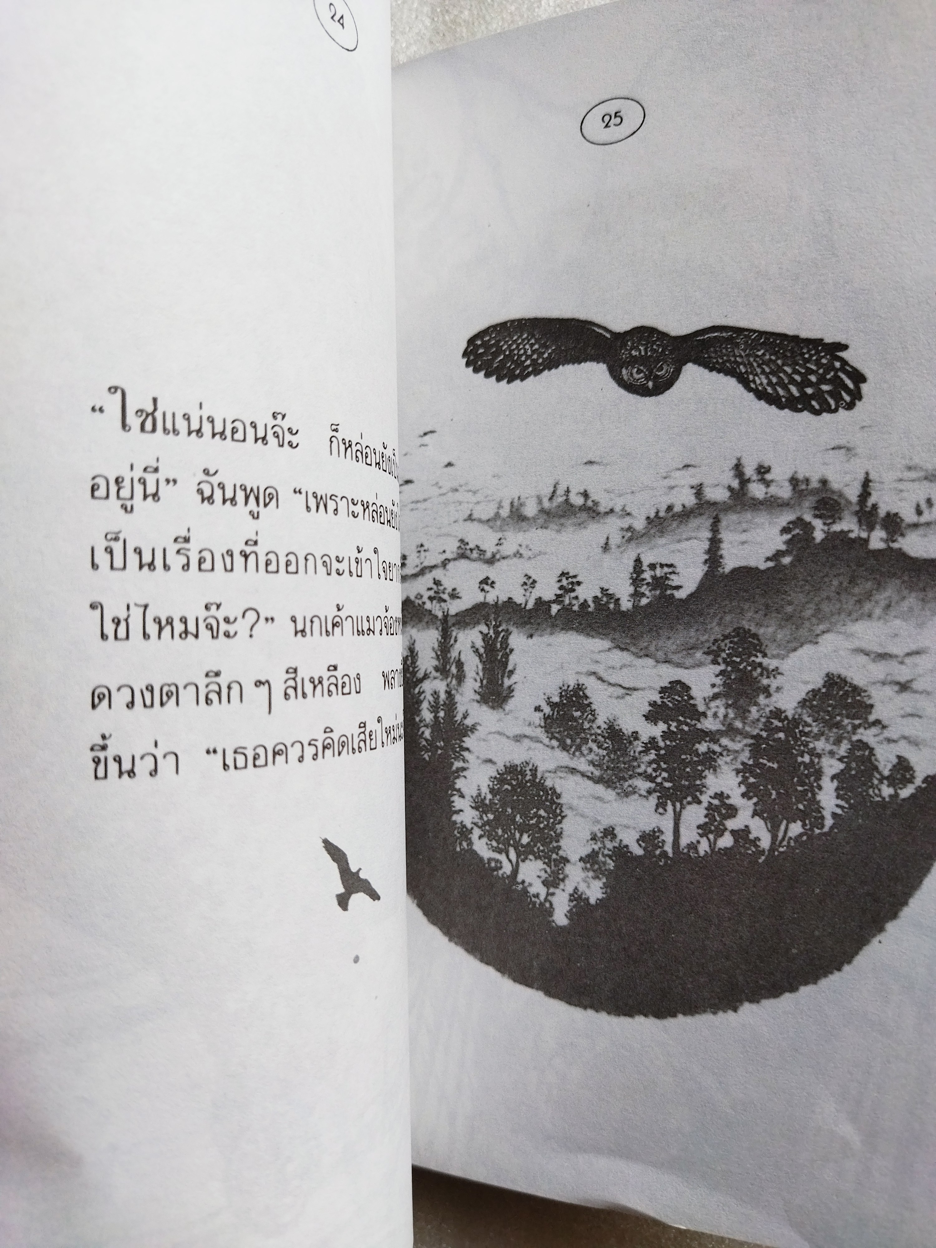 ไกลสุดหล้าขอบฟ้ากว้าง / ริชาร์ด บาค