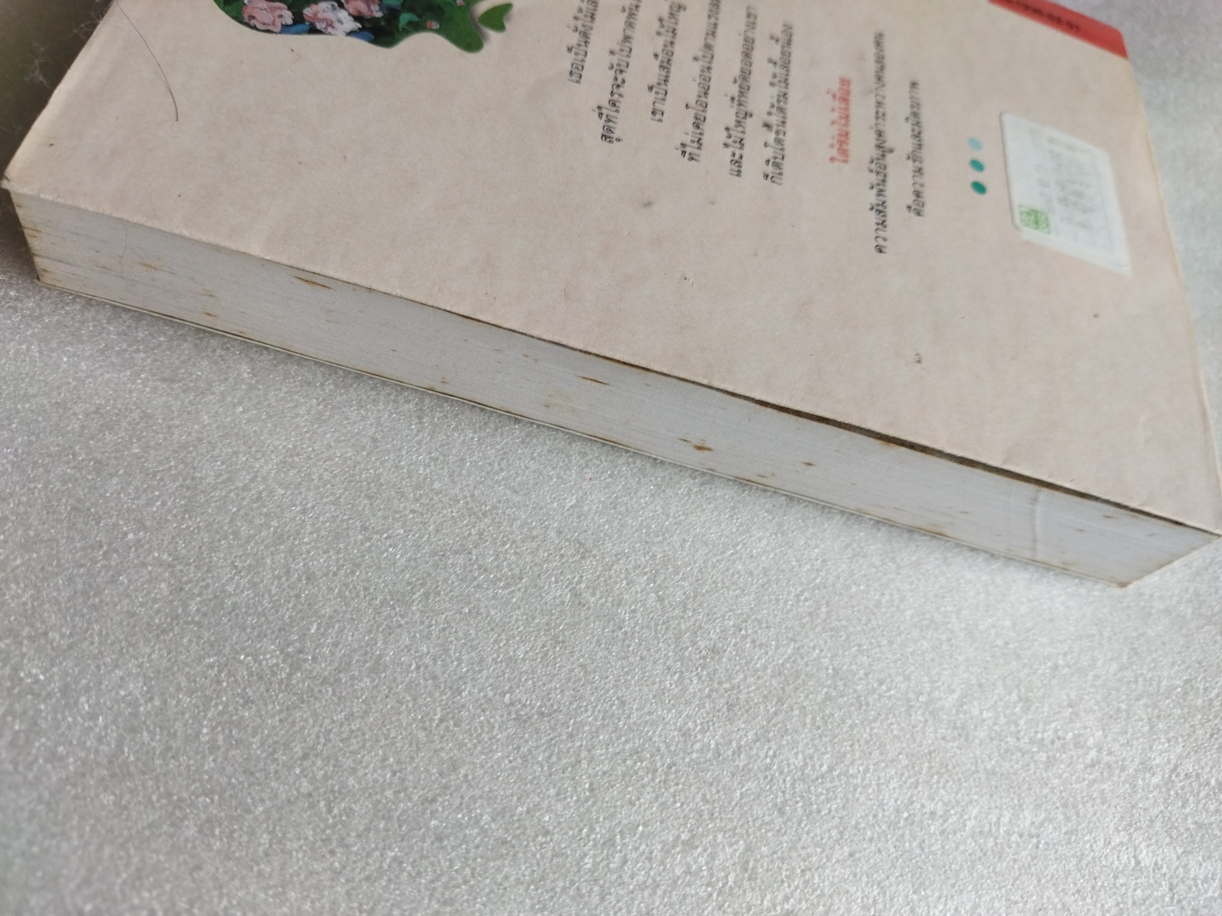 ใต้ร่มไม้เลื้อย / ปิยะพร ศักดิ์เกษม