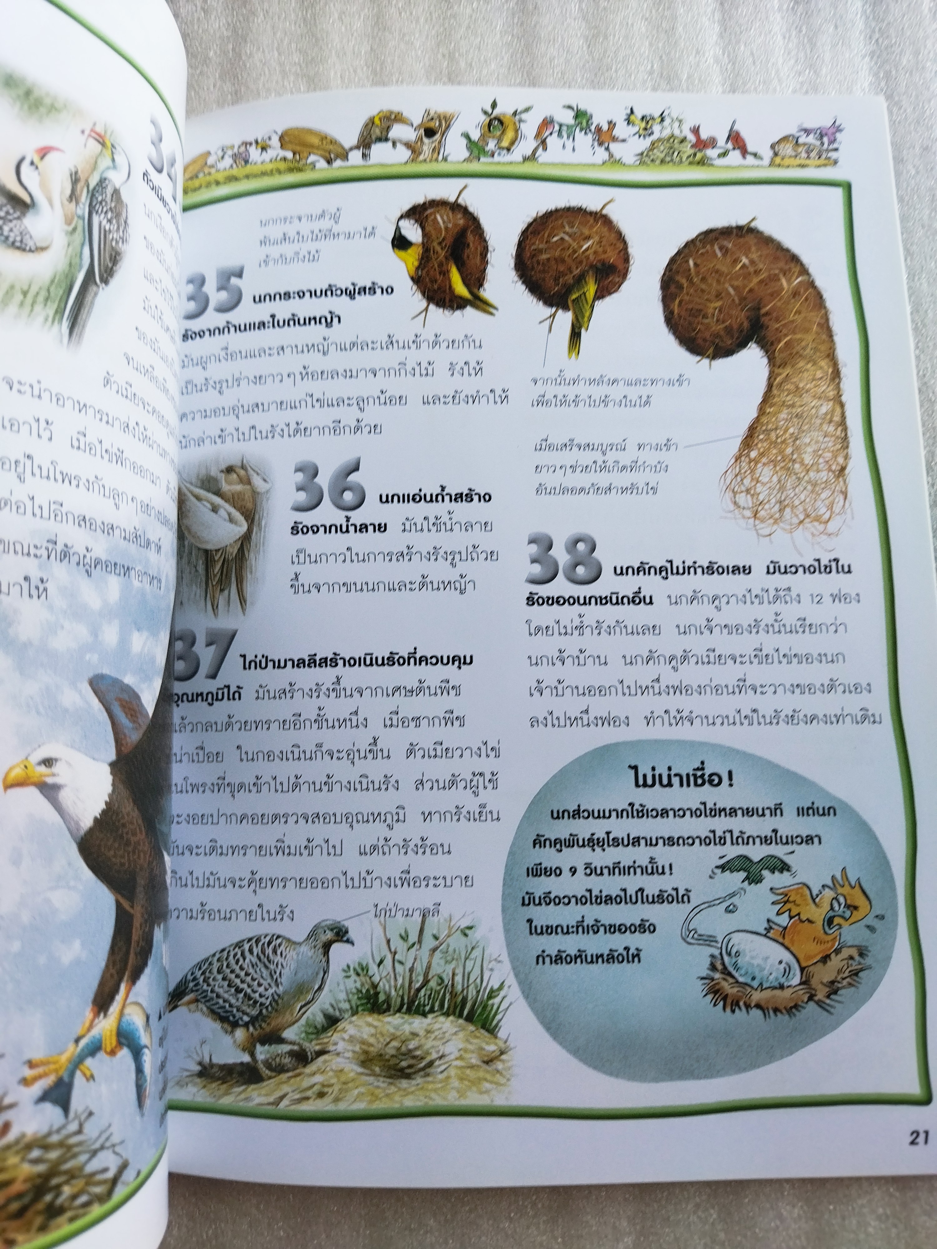 100 เรื่องน่ารู้เกี่ยวกับนก