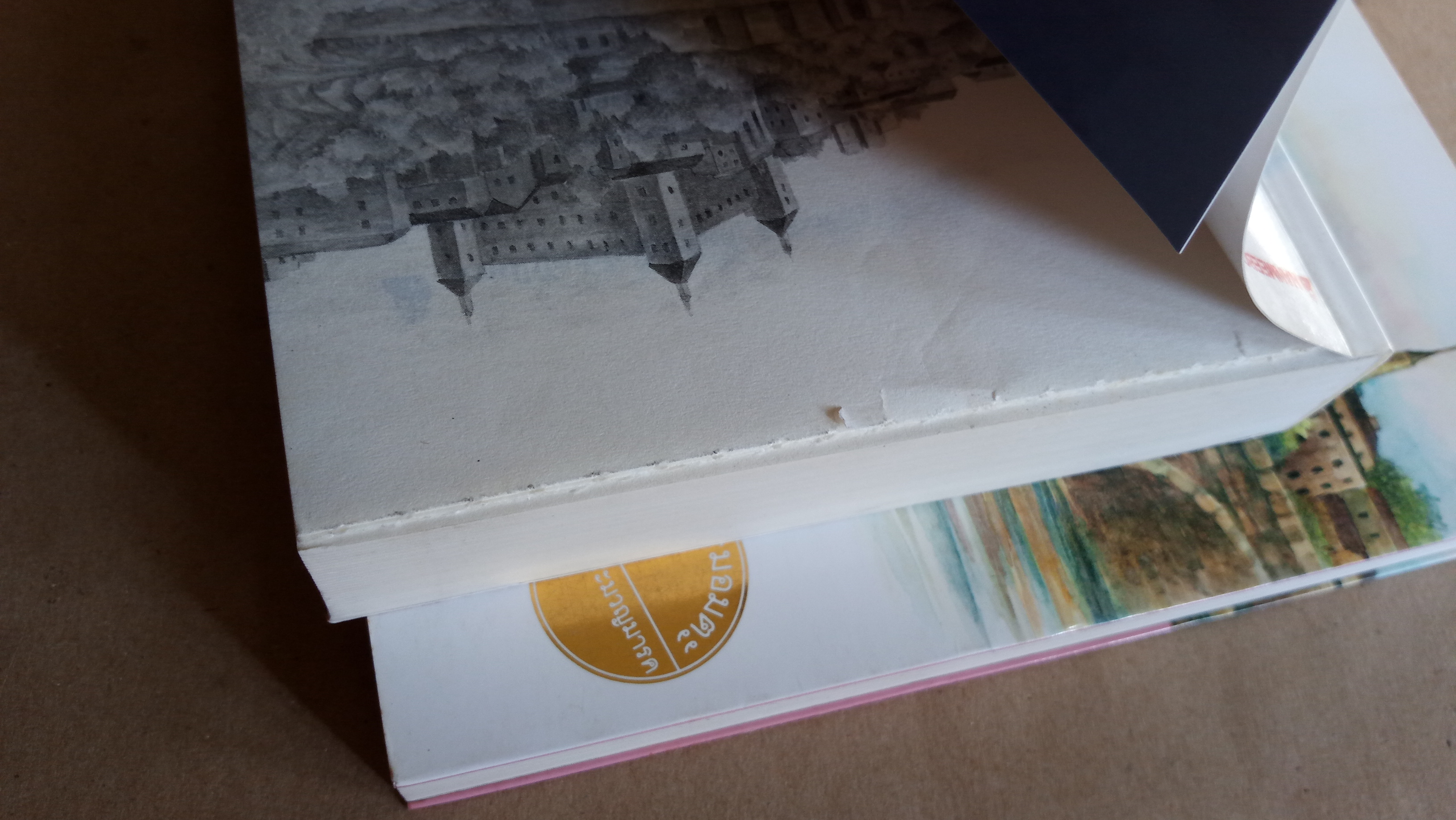 คลั่งเพราะรัก