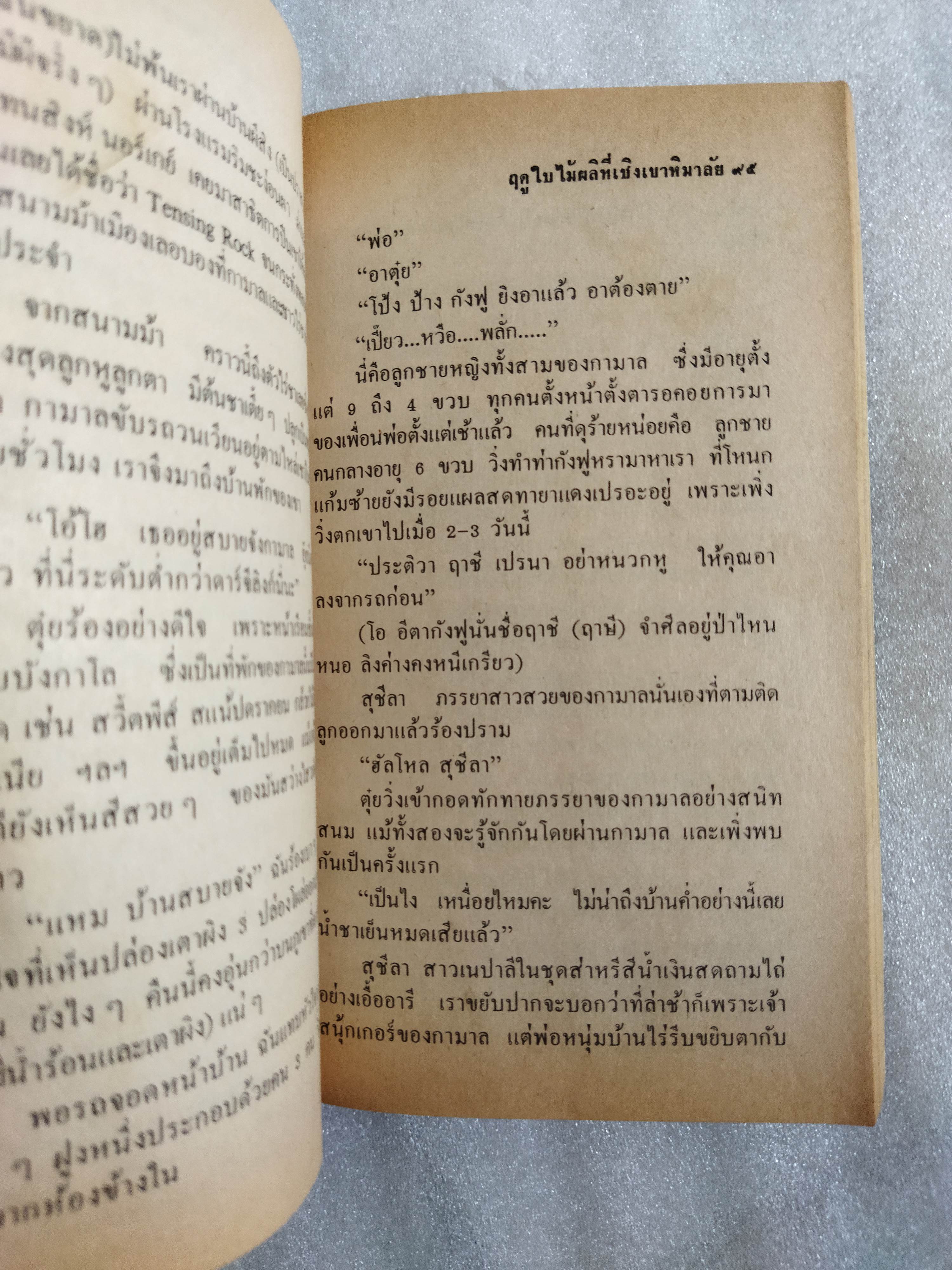 ฤดูใบไม้ผลิที่เชิงเขาหิมาลัย / ดวงใจ