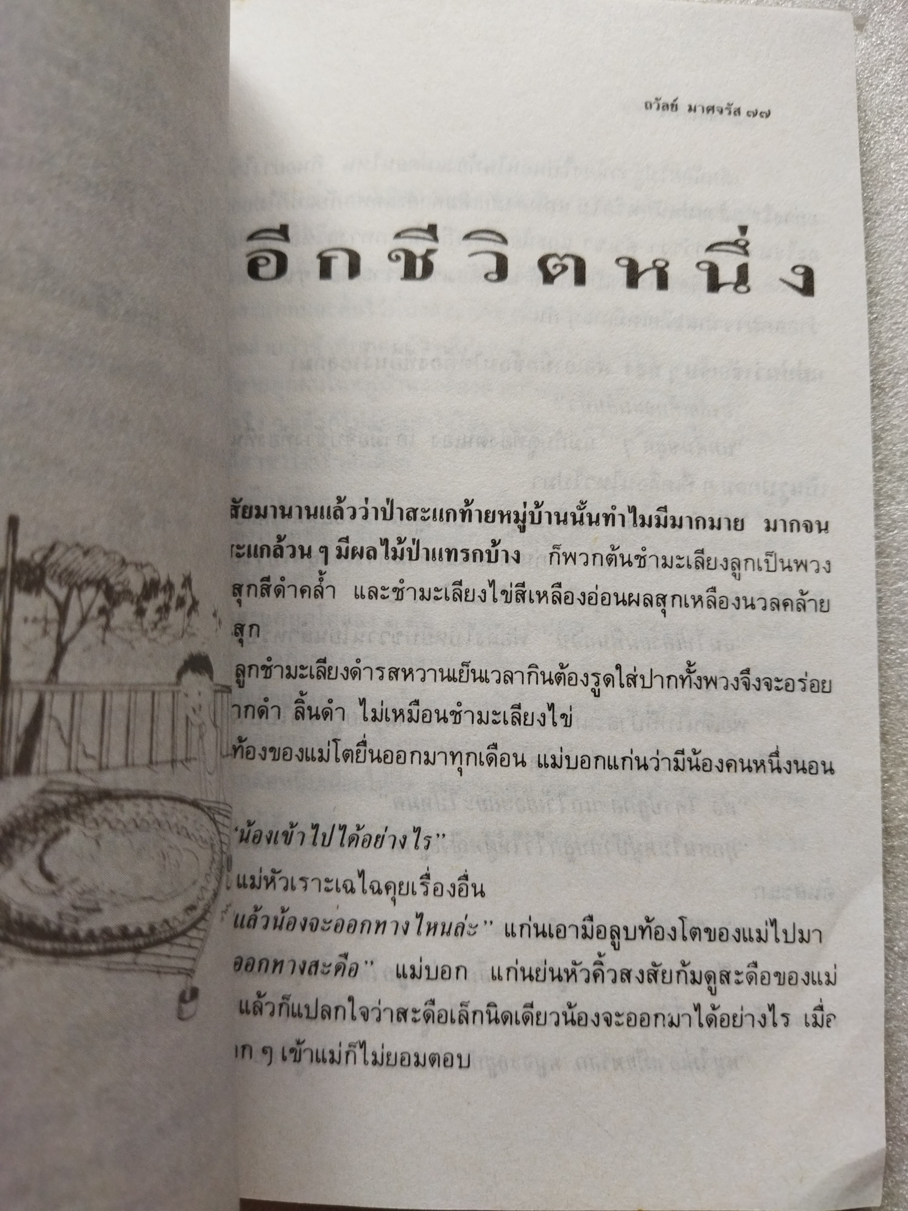 ในทุ่งกว้าง / ถวัลย์ มาศจรัส