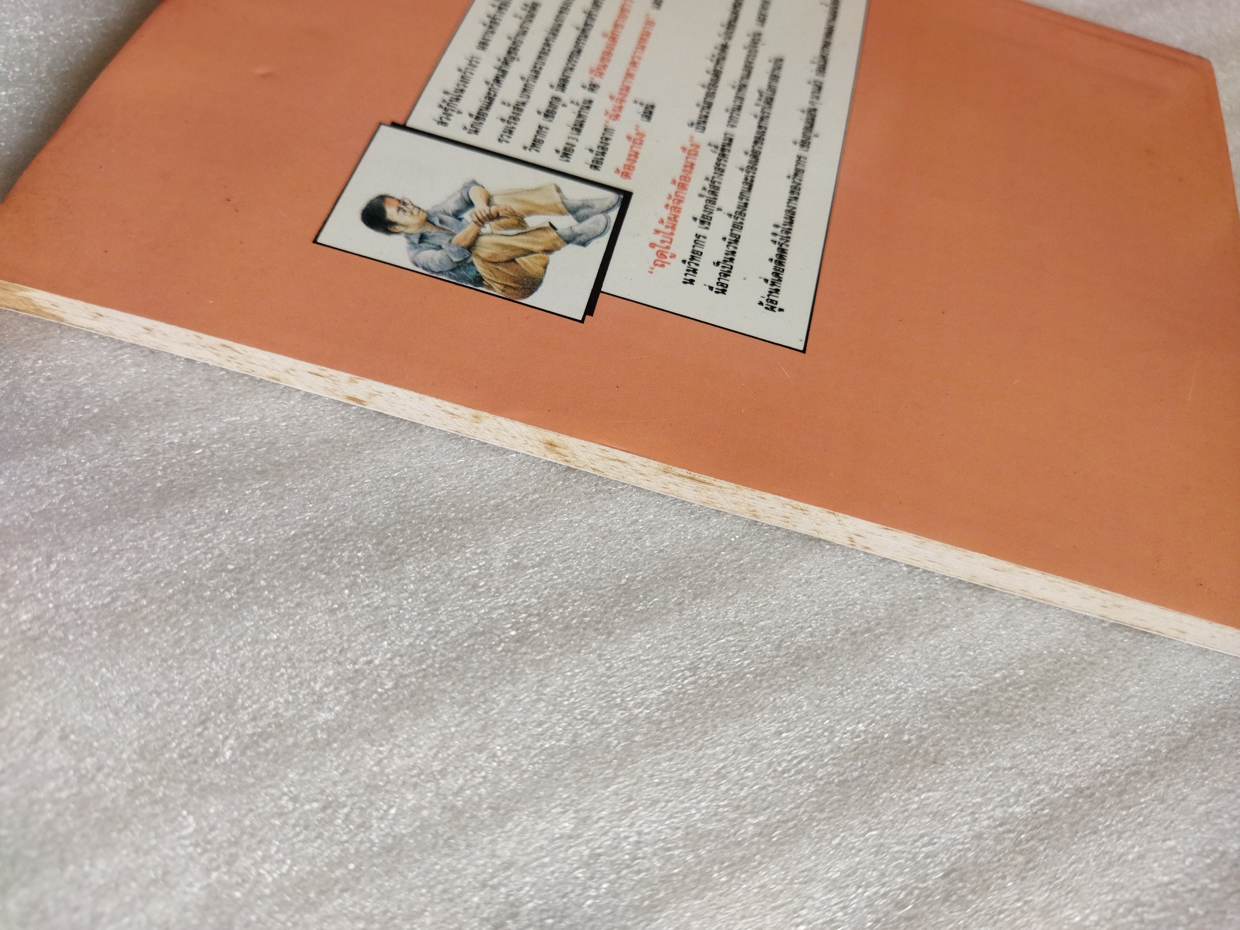 ฤดูใบไม้ผลิจักต้องมาถึง / วิทยากร เชียงกูล