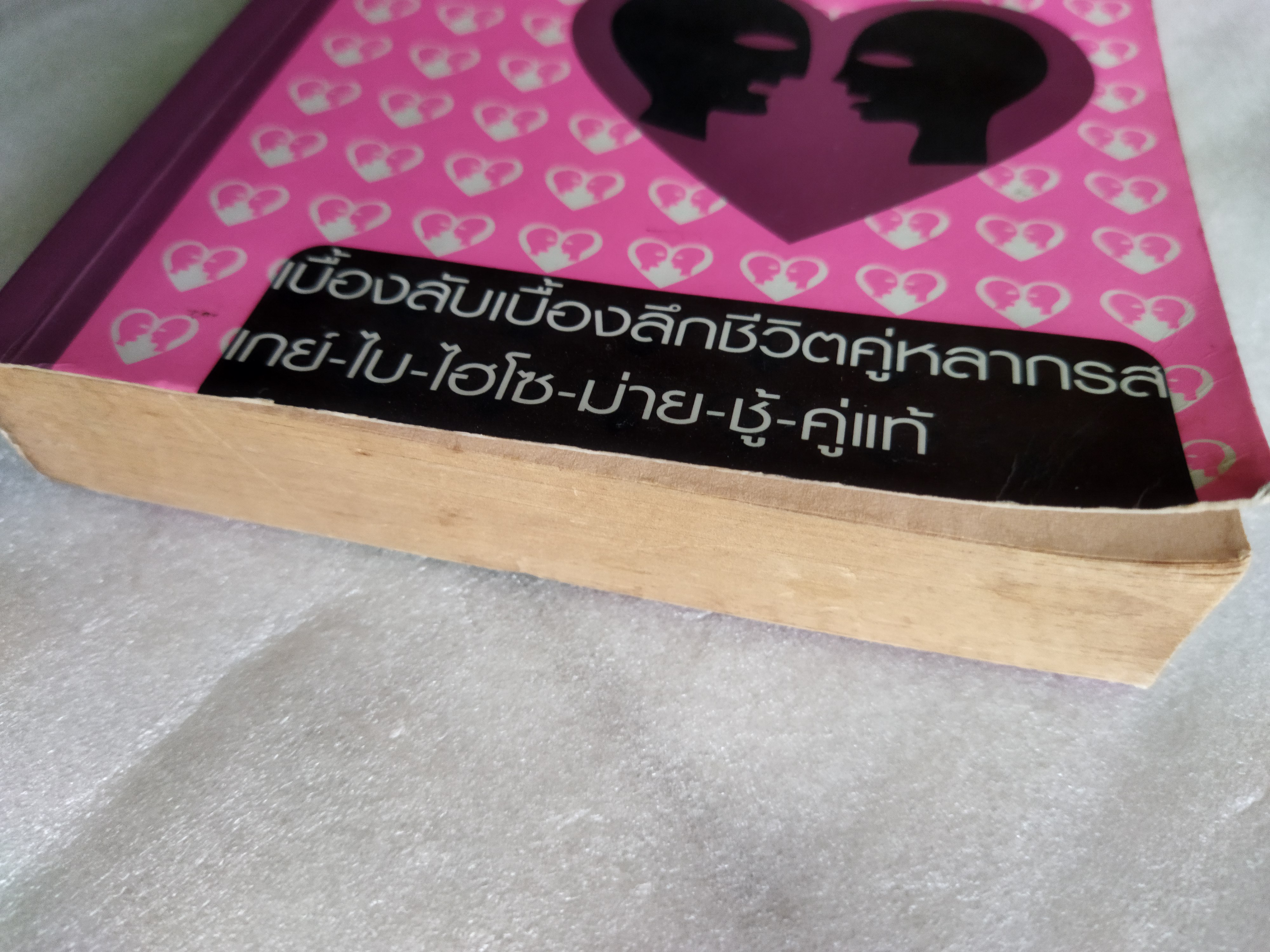 ชีวิตคู่(ไม่)รู้กัน / อรสม สุทธิสาคร