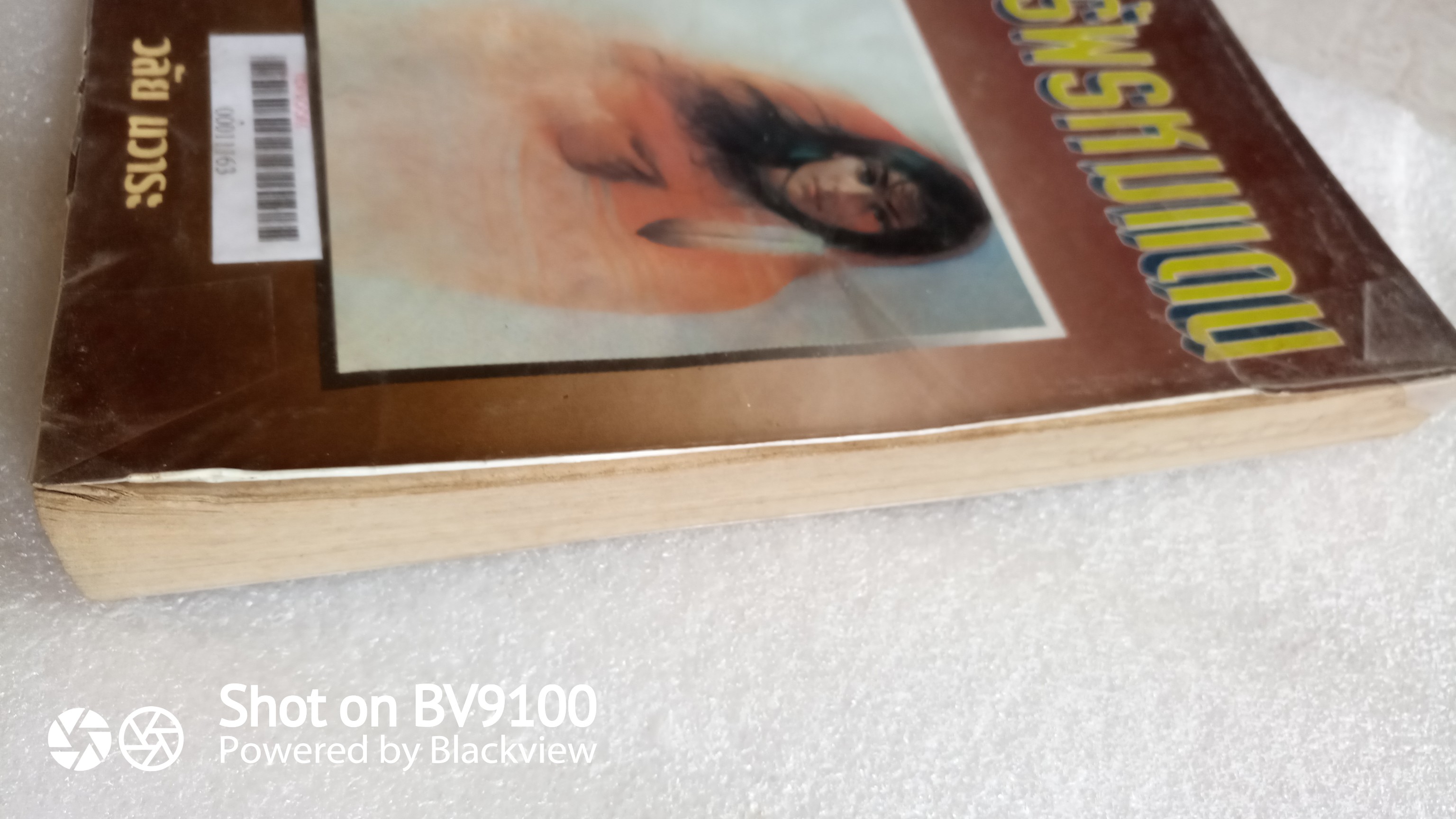 รักไร้พรมแดน / วลัย นวาระ