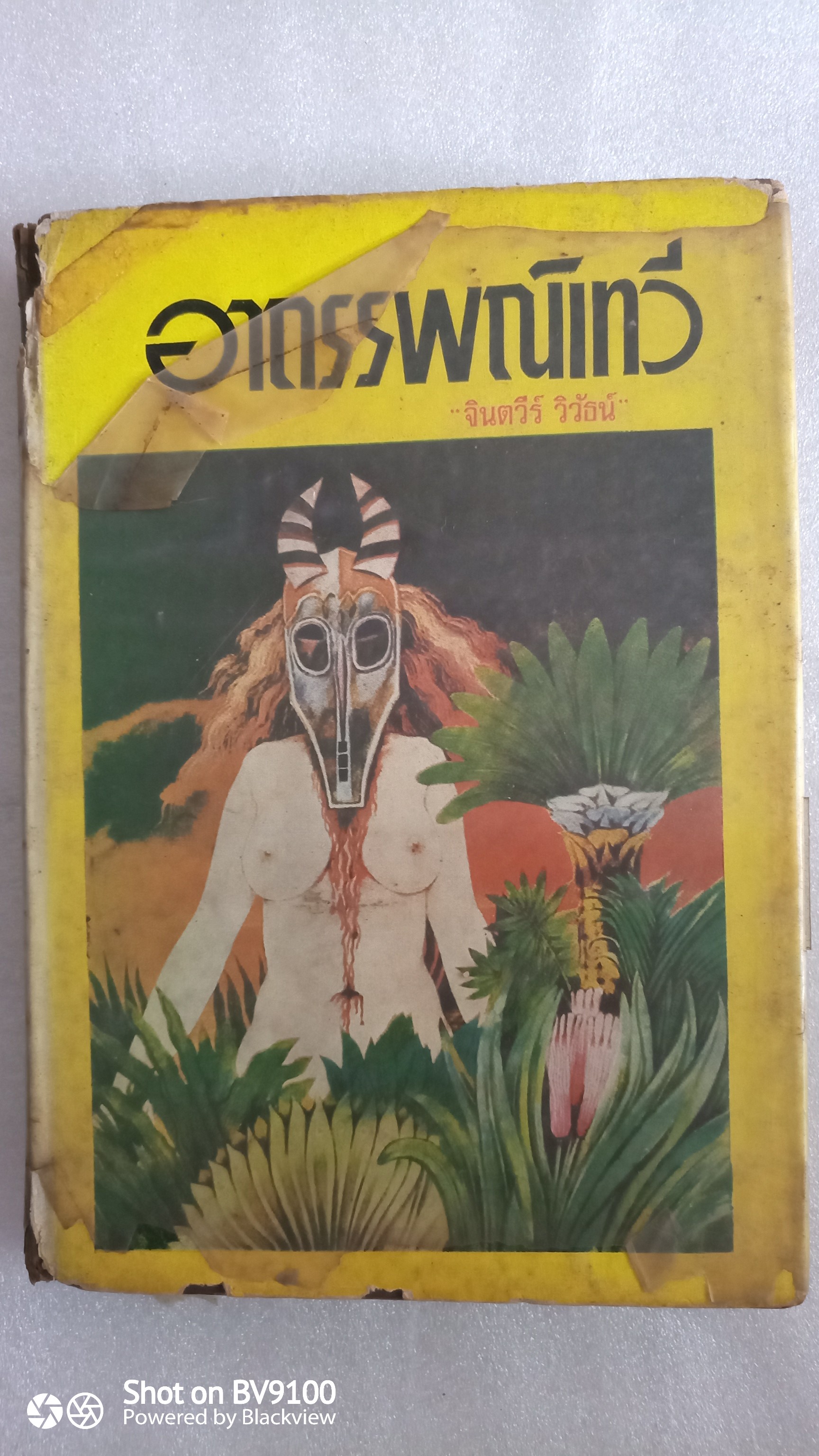 อาถรรพณ์เทวี / จินตวีร์ วิวัธน์