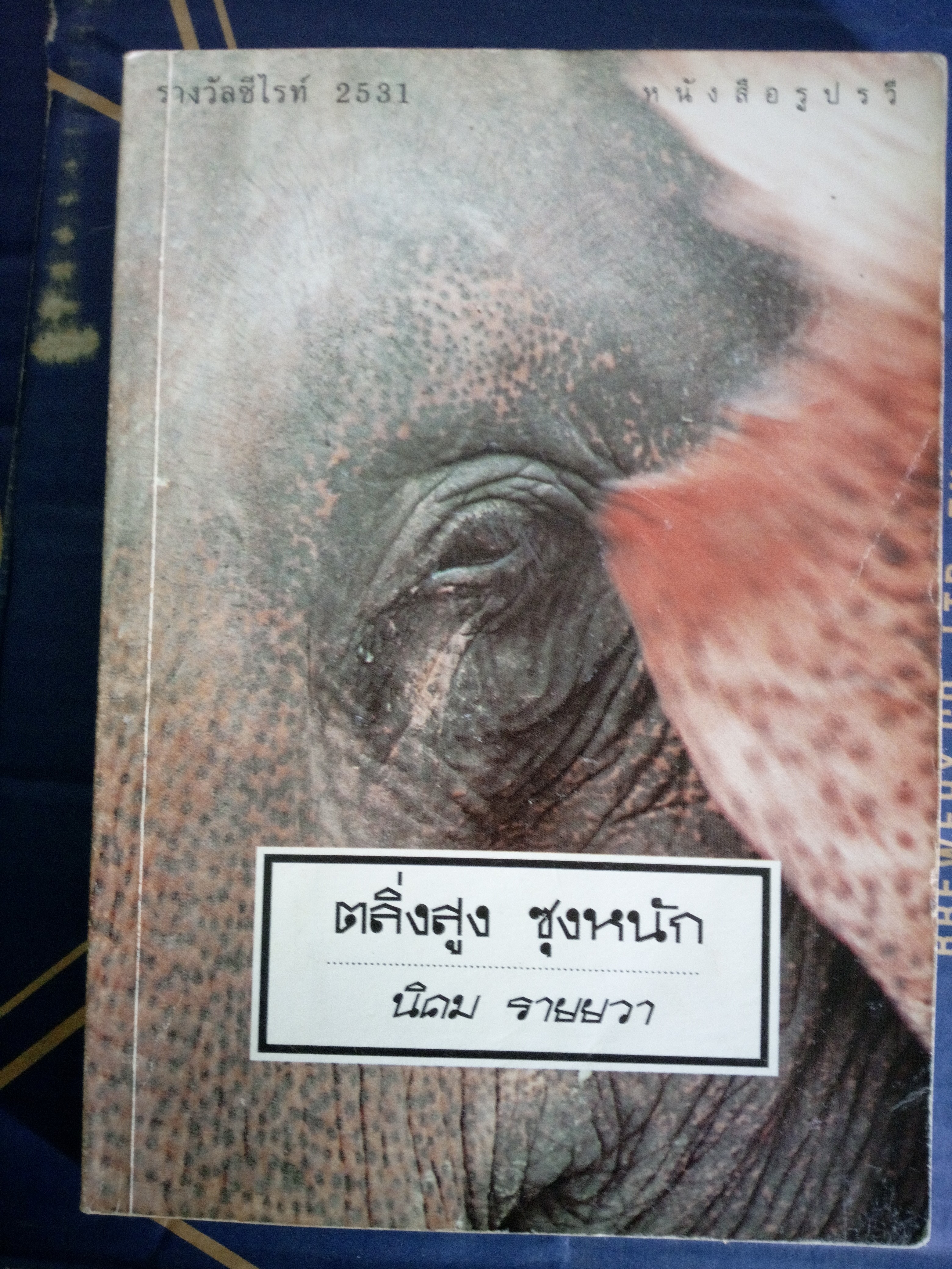 ตลิ่งสูง ซุงหนัก