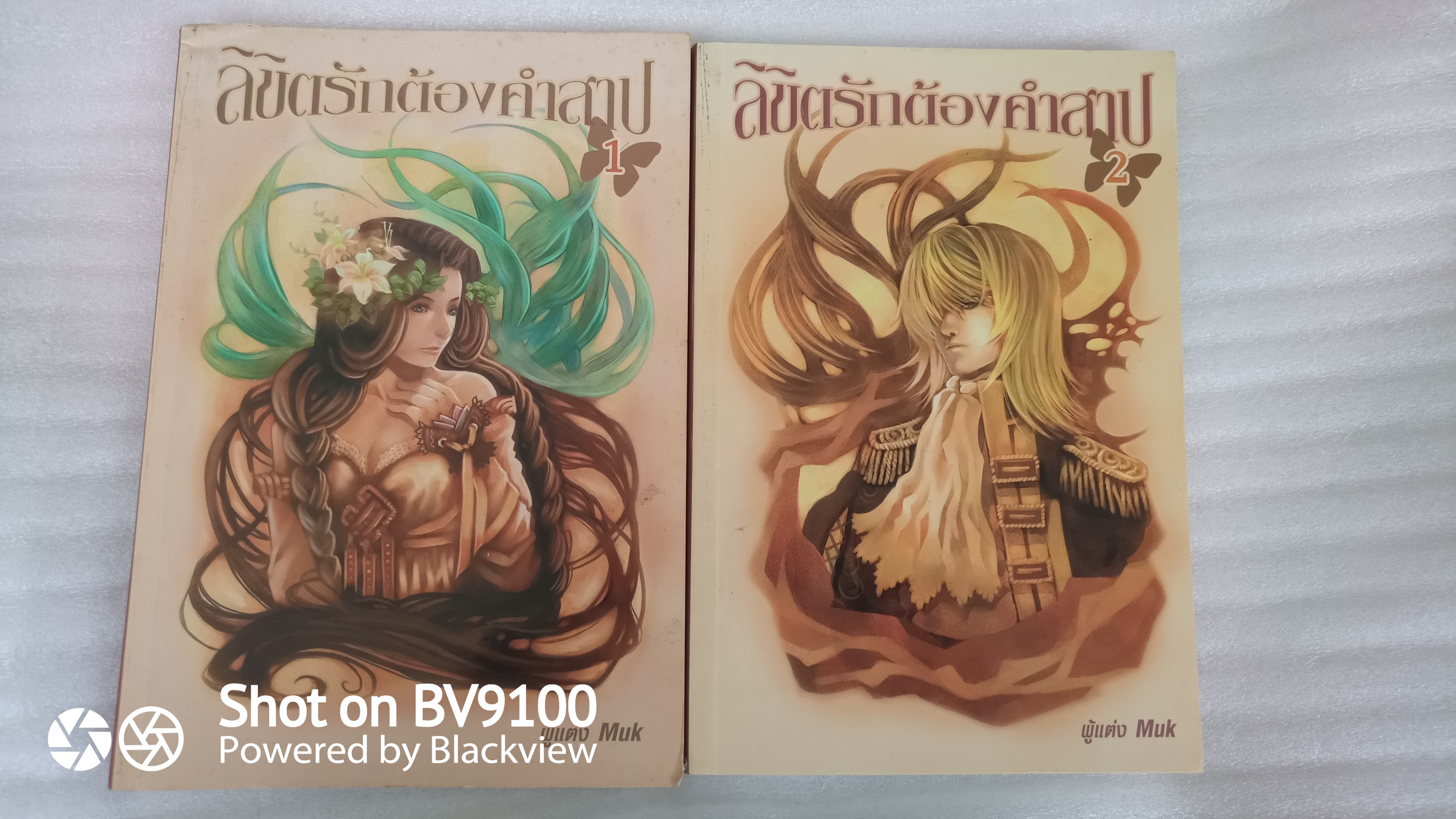 หนังสือ ลิขิตรักต้องคำสาป 2 เล่มจบสมบูรณ์