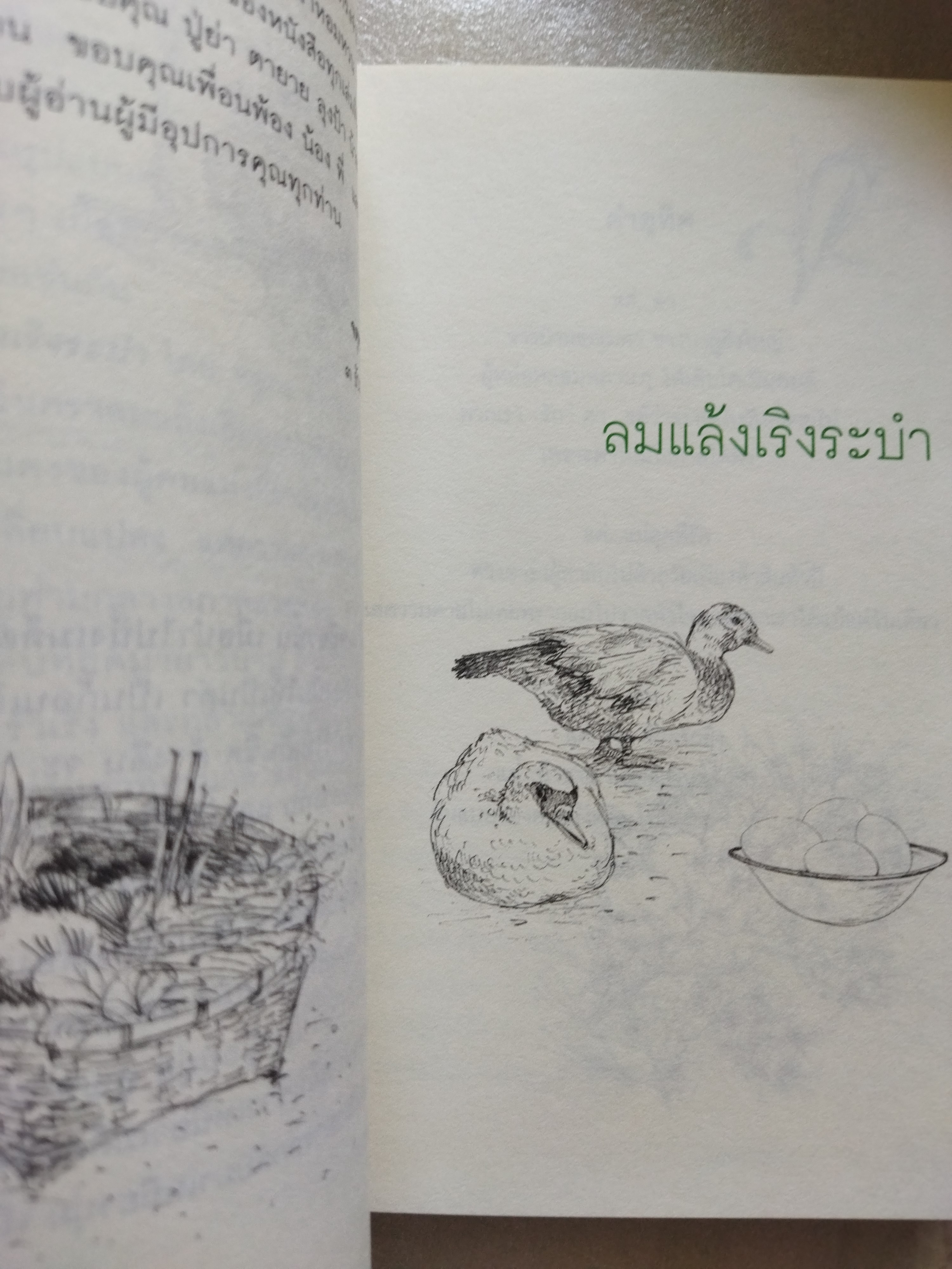ลมแล้ง เริงระบำ / จตุพร แพงทองดี