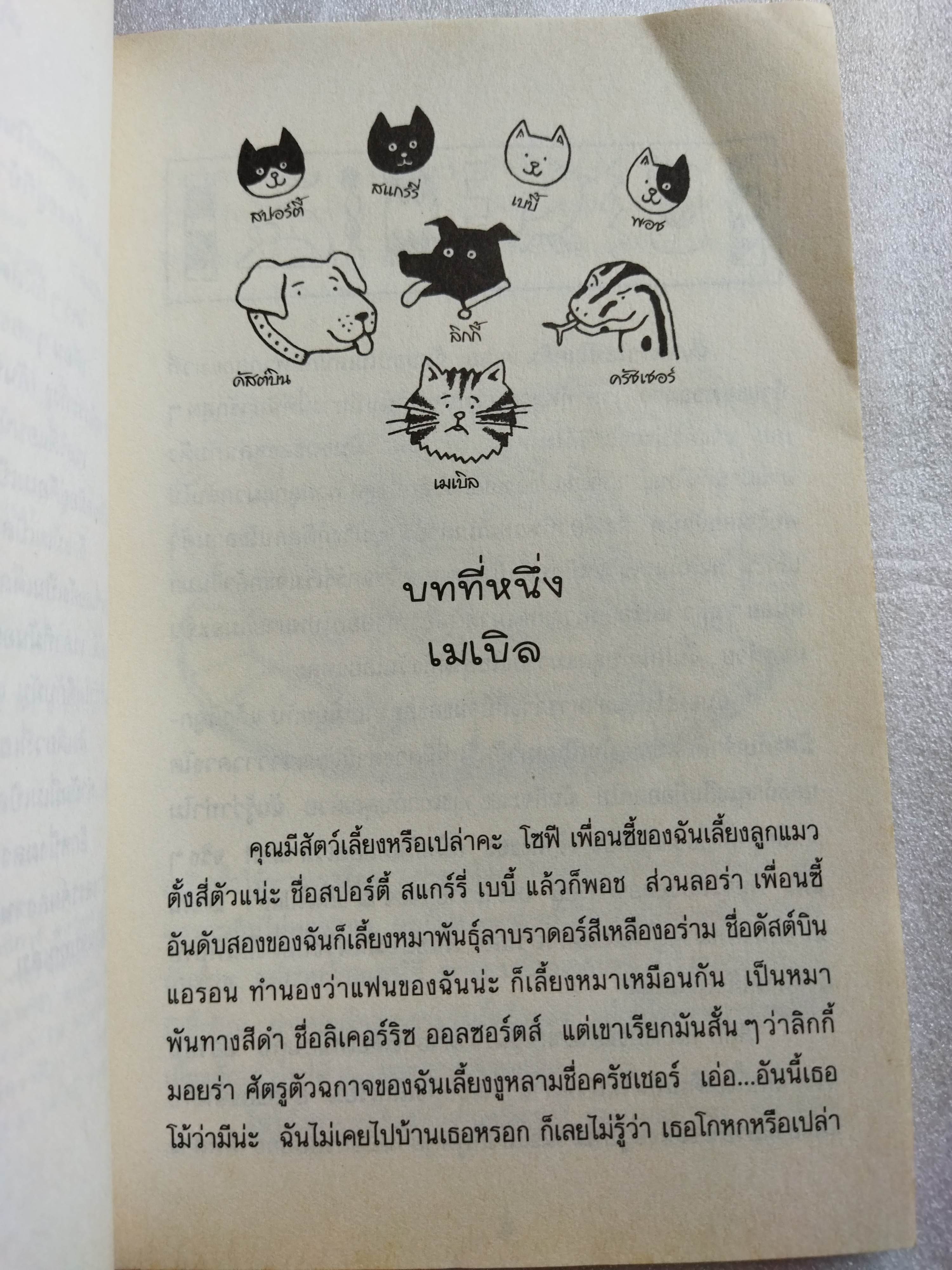 เหมียว เหมียว มัมมี่แมว / Jacqueline wilson