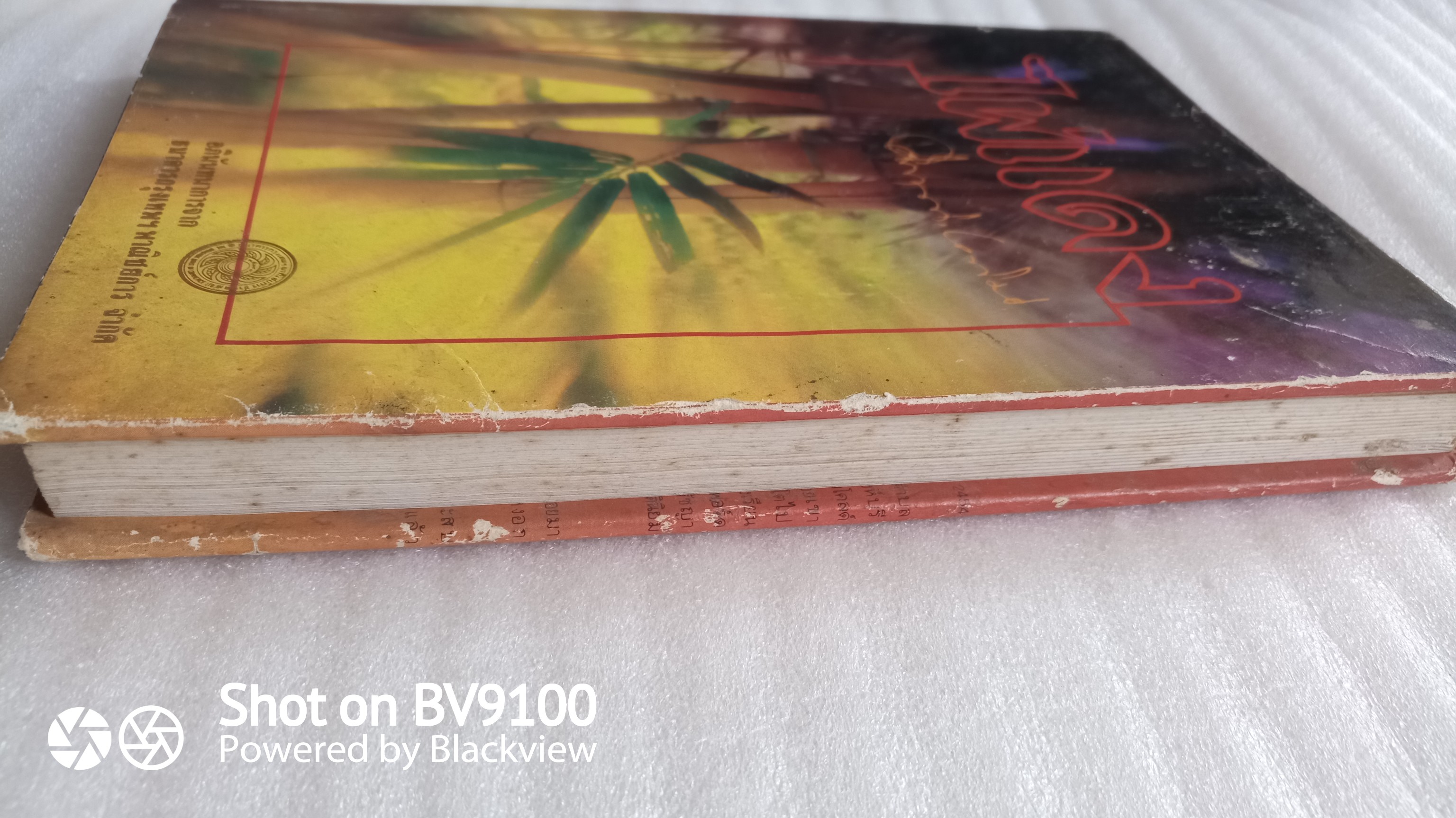 ไผ่แดง /ม.ร.ว. คึกฤทธิ์ ปราโมช