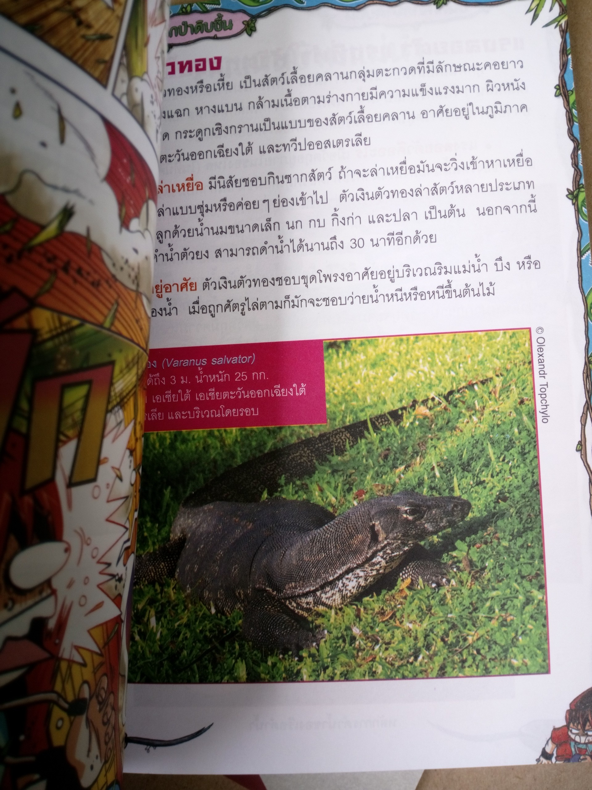 เอาชีวิตรอดตะลุยป่ามหาภัย เล่ม 4 ล่องแม่น้ำจระเข้ *ตำหนิ