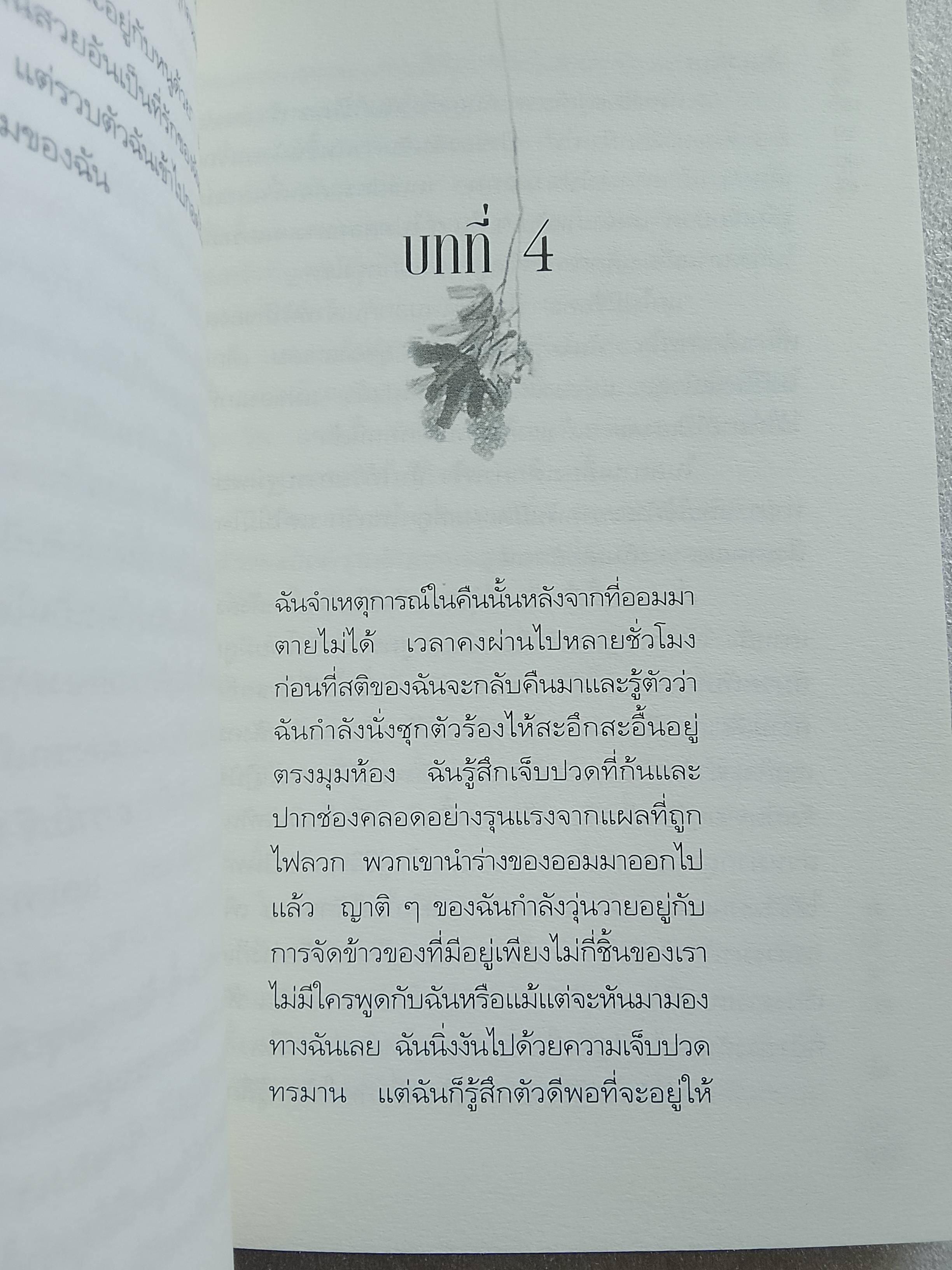 บันทึกเศร้าสาวเกาหลี / เอลิซาเบท คิม