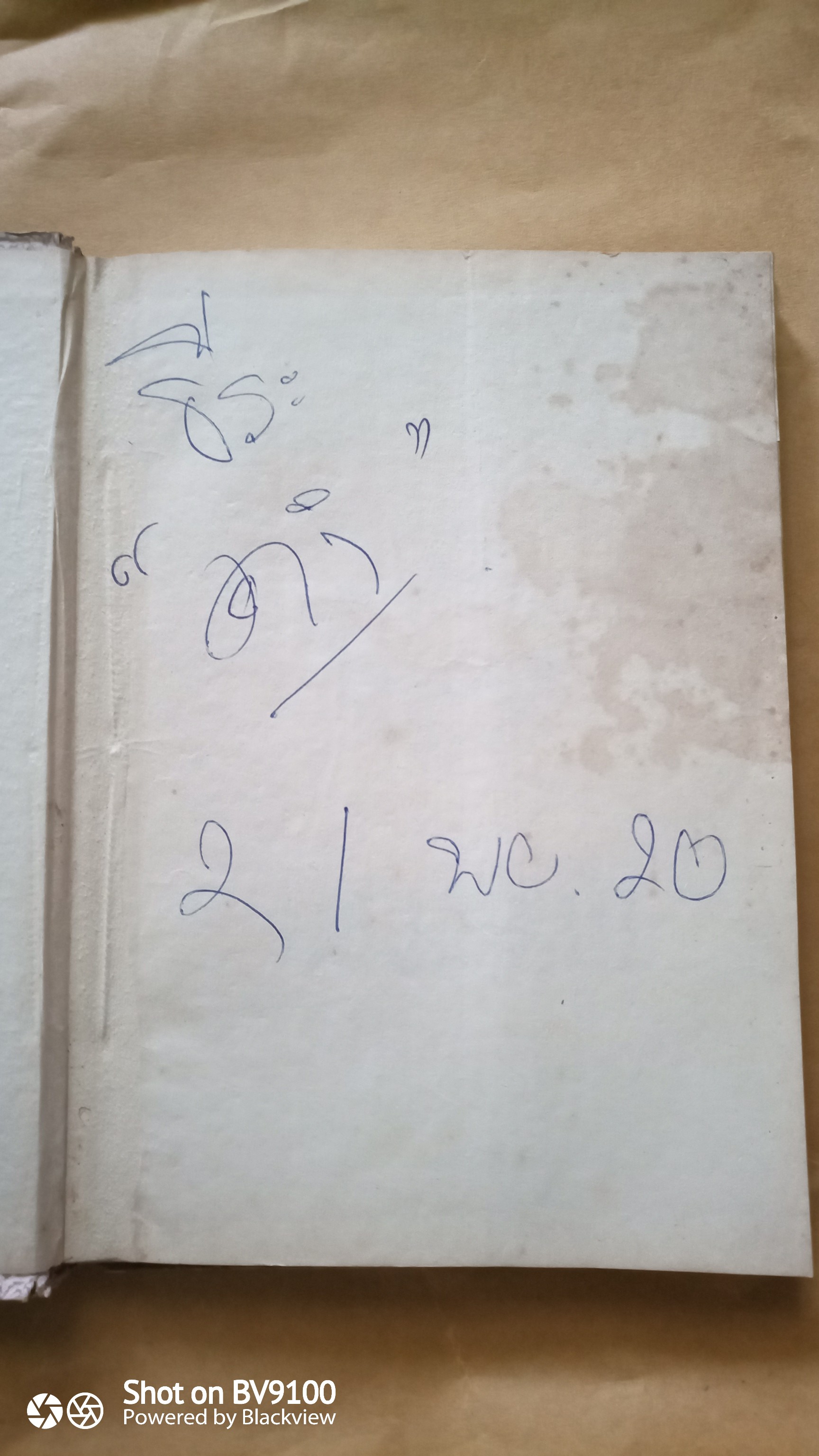 เงาะป่า