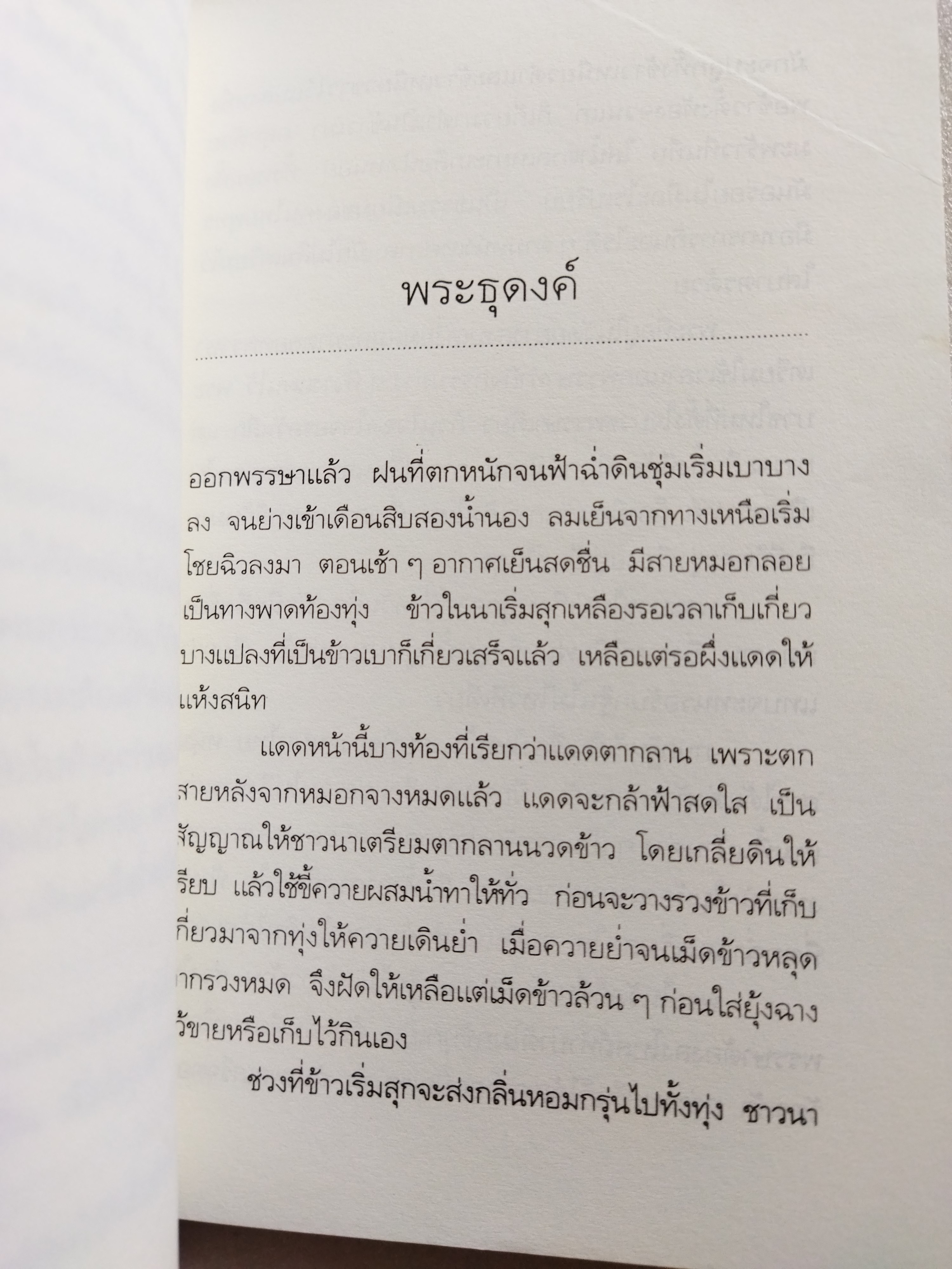 ผีในป่า / วัธนา บุญยัง