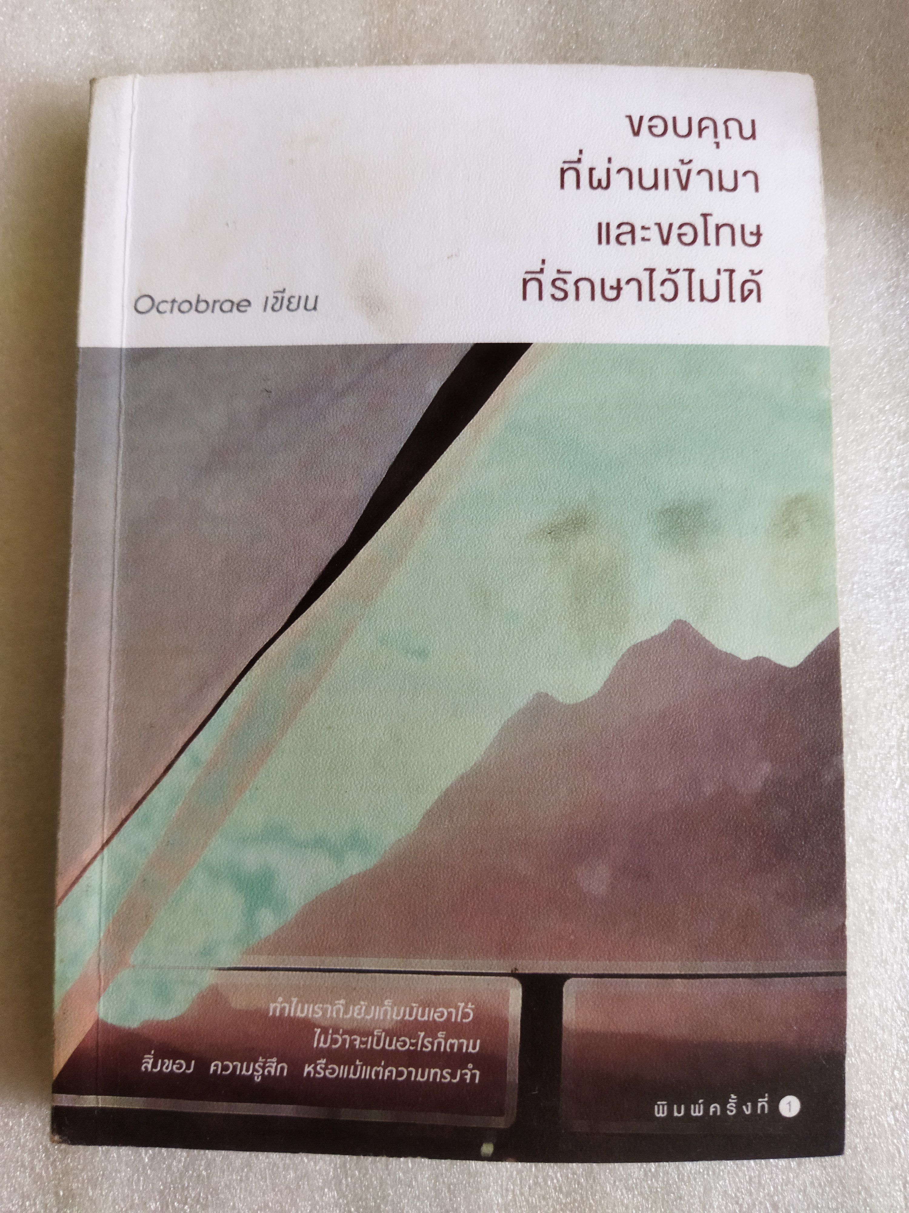 ขอบคุณที่ผ่านเข้ามา และขอโทษที่รักษาไว้ไม่ได้ / Octobrae