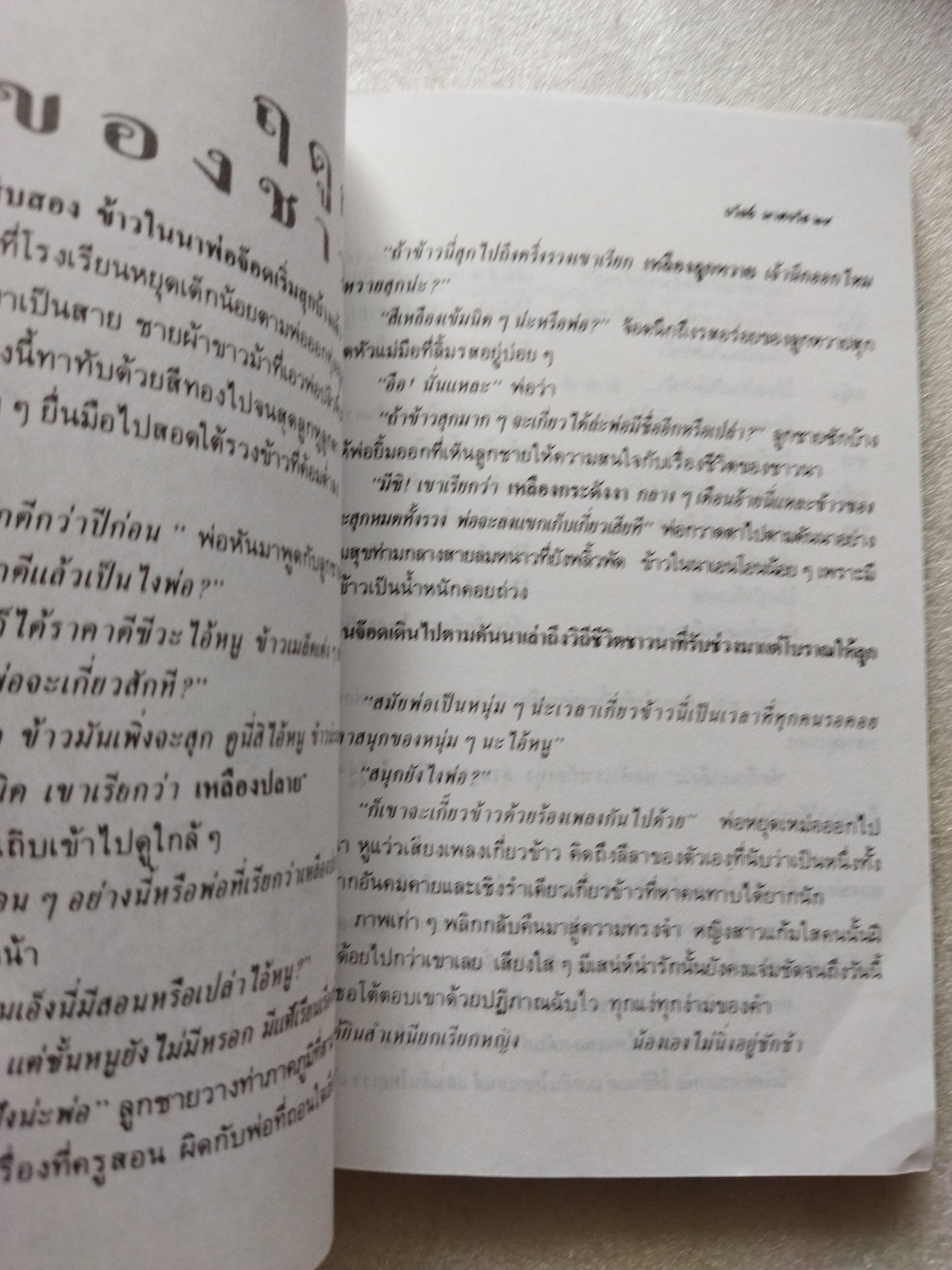 ในทุ่งกว้าง / ถวัลย์ มาศจรัส