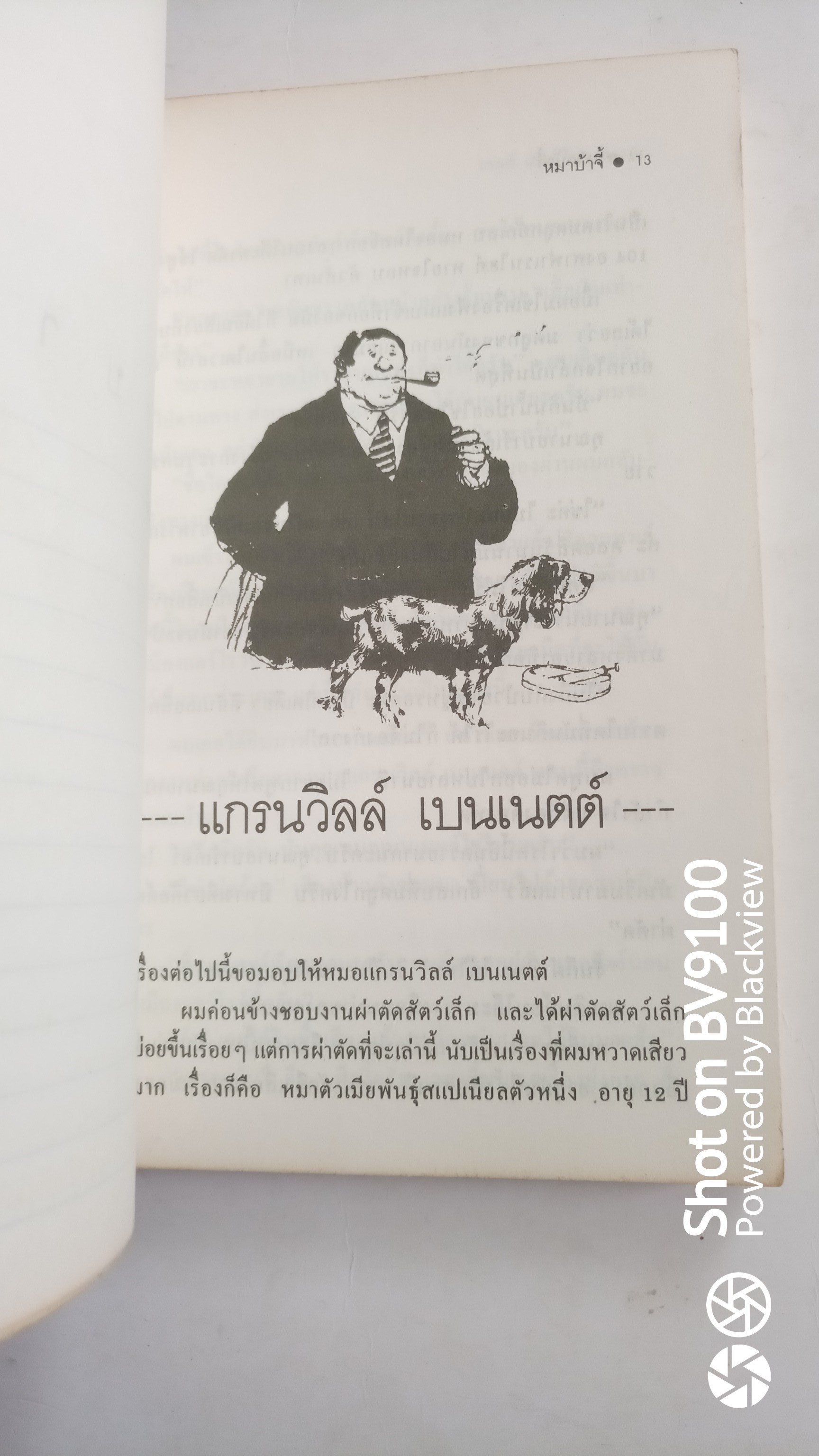 หมาบ้าจี้ / เจมส์ เฮอร์เรียต