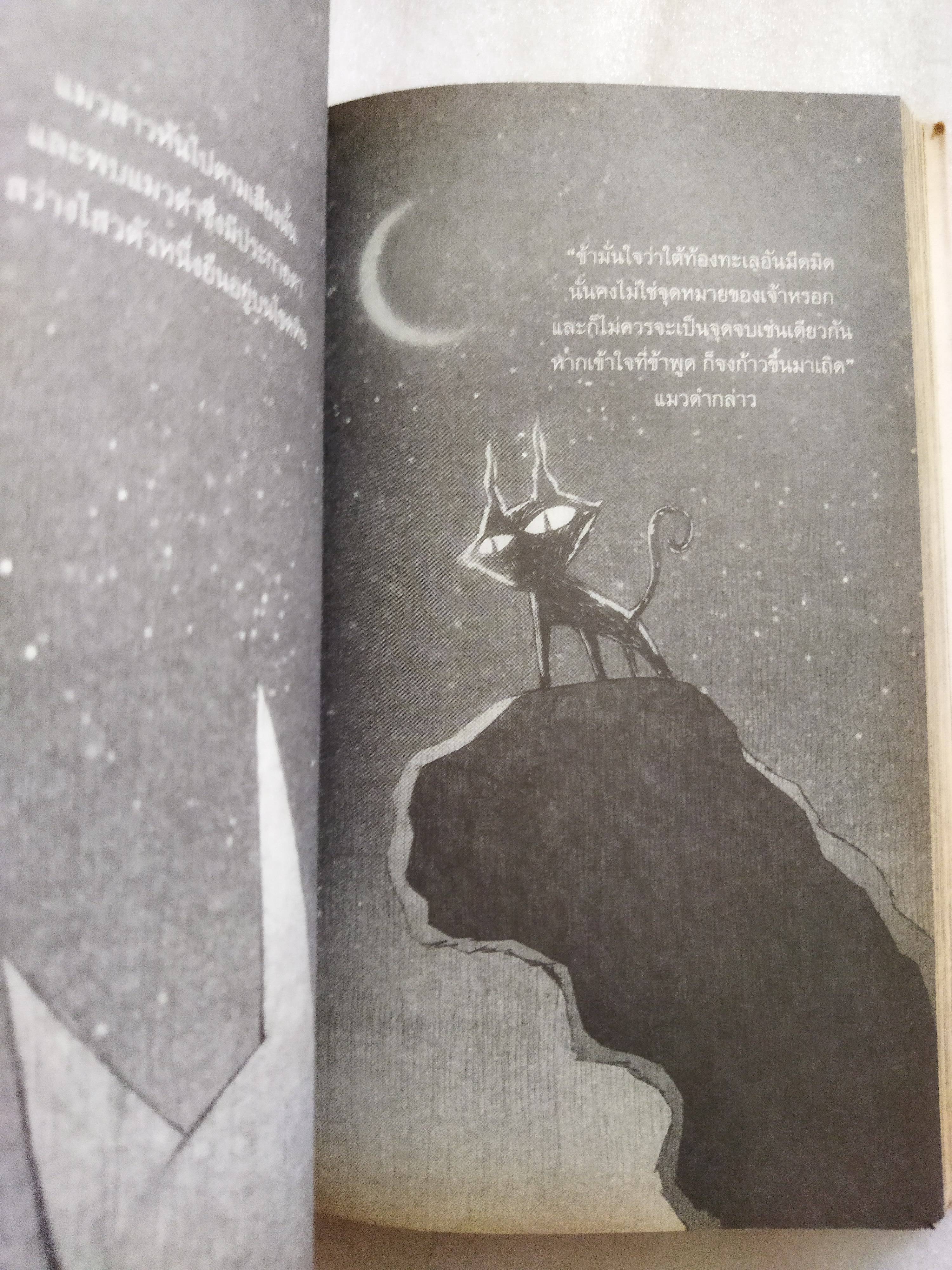 NINE LIVES / ทรงศีล ทิวสมบุญ *ตำหนิ