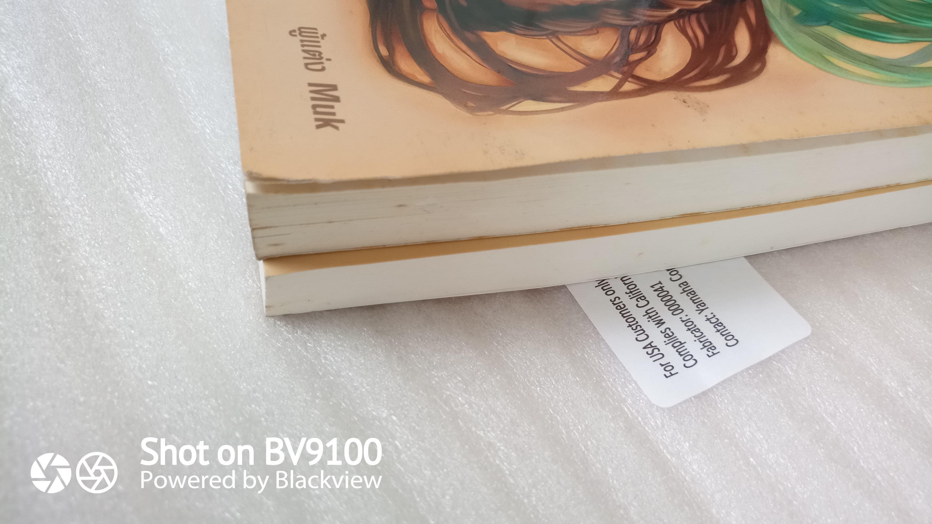 หนังสือ ลิขิตรักต้องคำสาป 2 เล่มจบสมบูรณ์