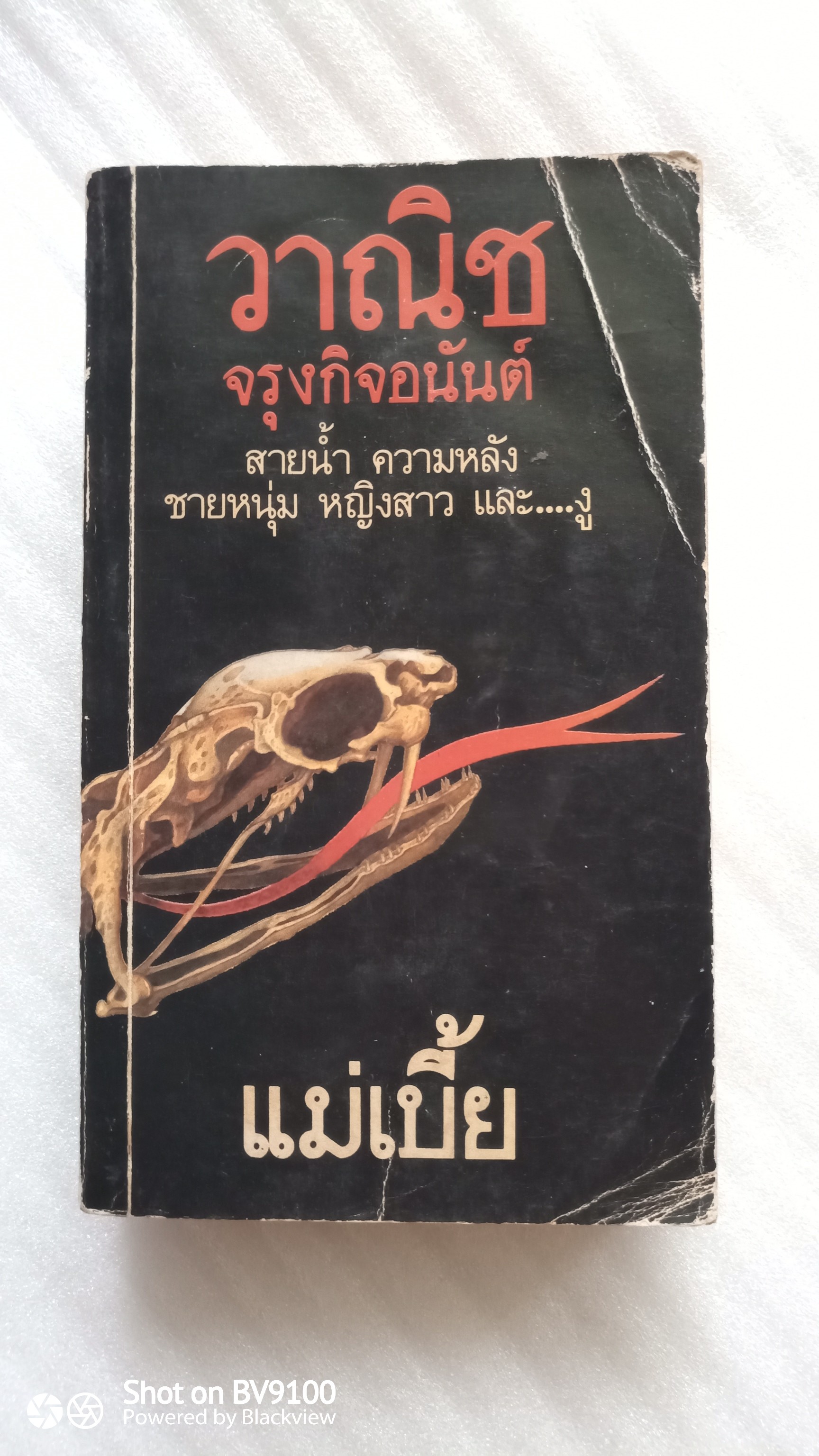 แม่เบี้ย / วานิช จรุงกิจอนันต์