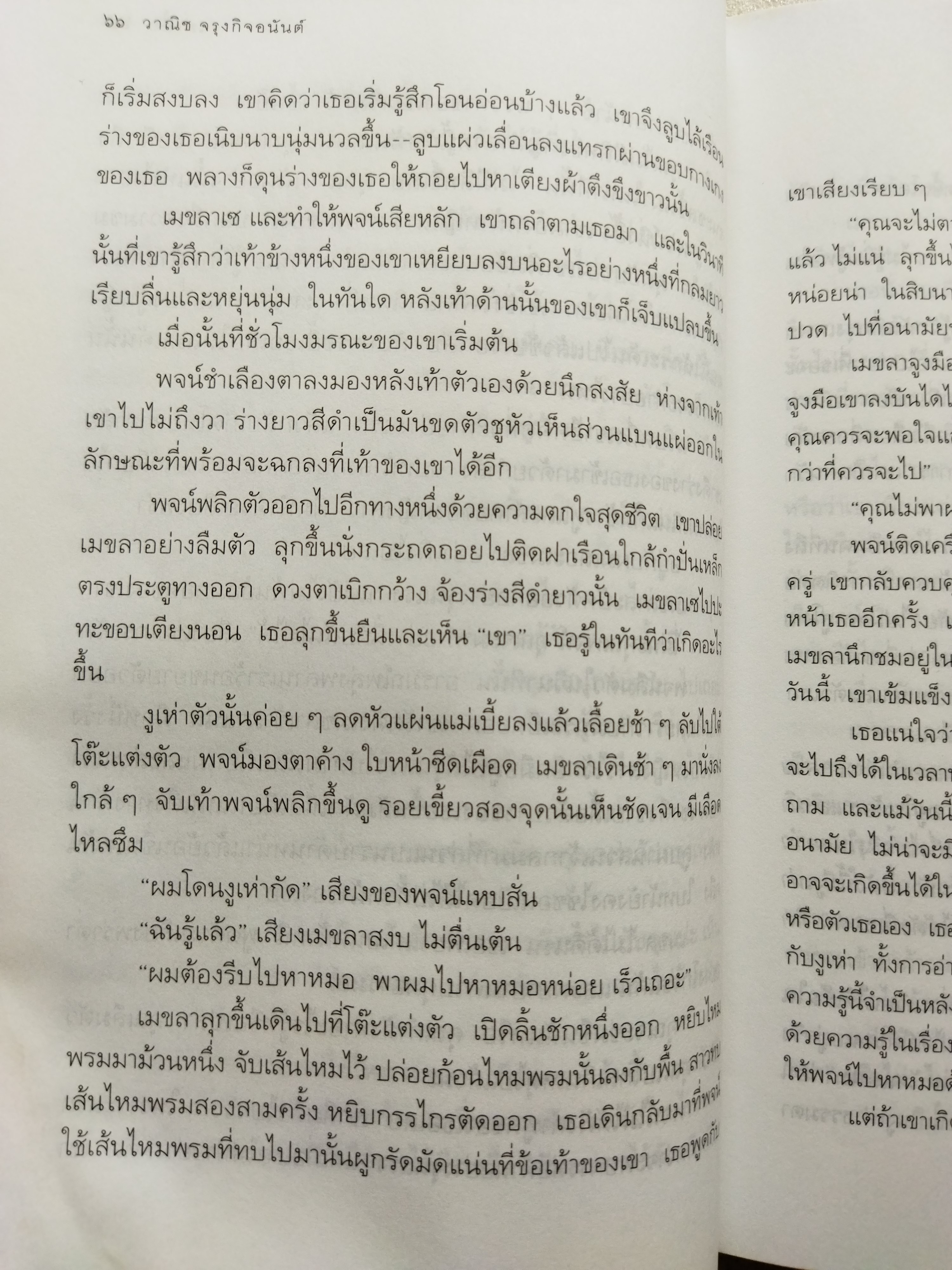 แม่เบี้ย /วาณิช จรุงกิจอนันต์