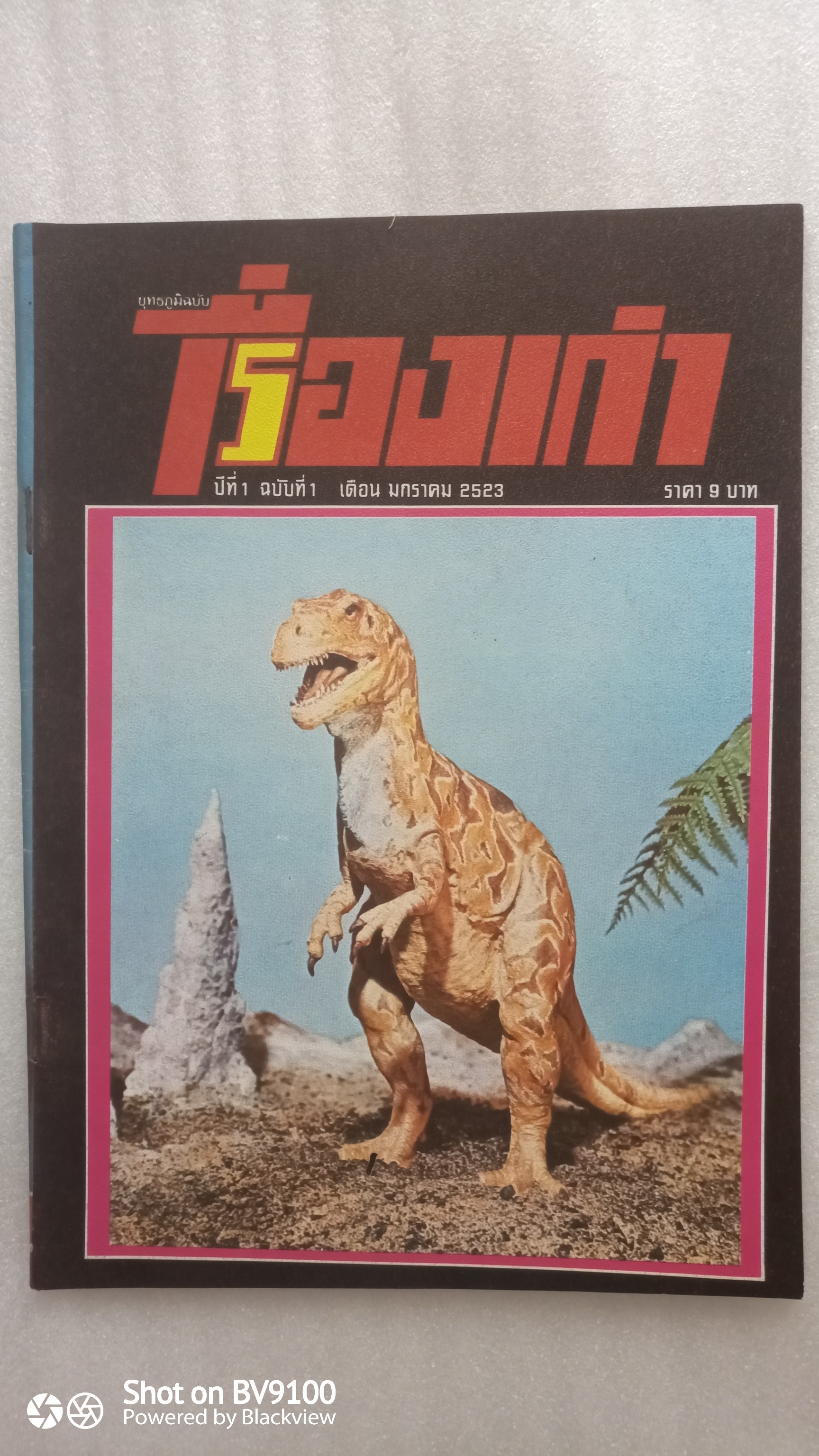 เรื่องเก่า 2523