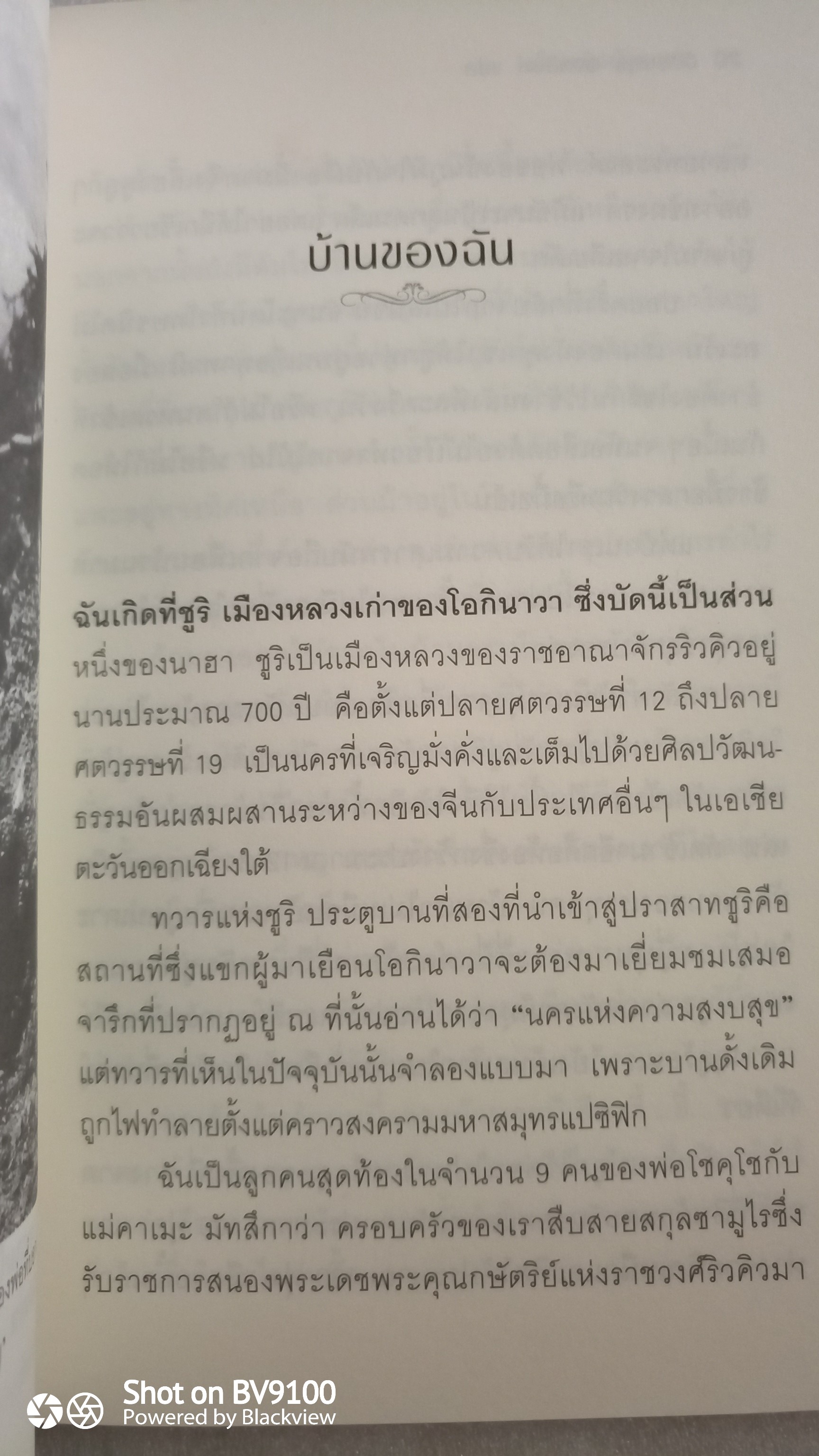 เด็กหญิงผู้ชูธงขาว The Girl with The White Flag