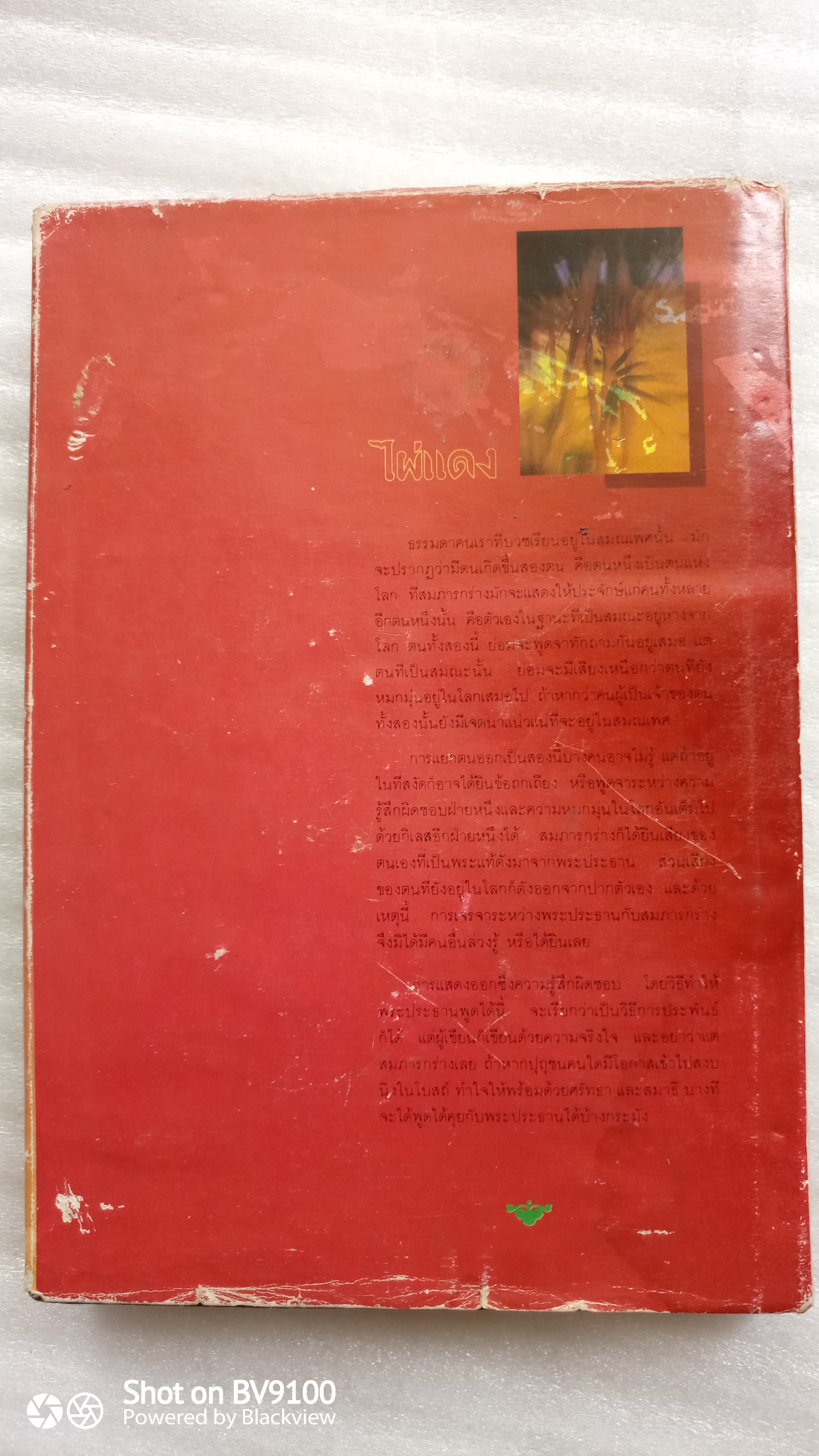 ไผ่แดง /ม.ร.ว. คึกฤทธิ์ ปราโมช