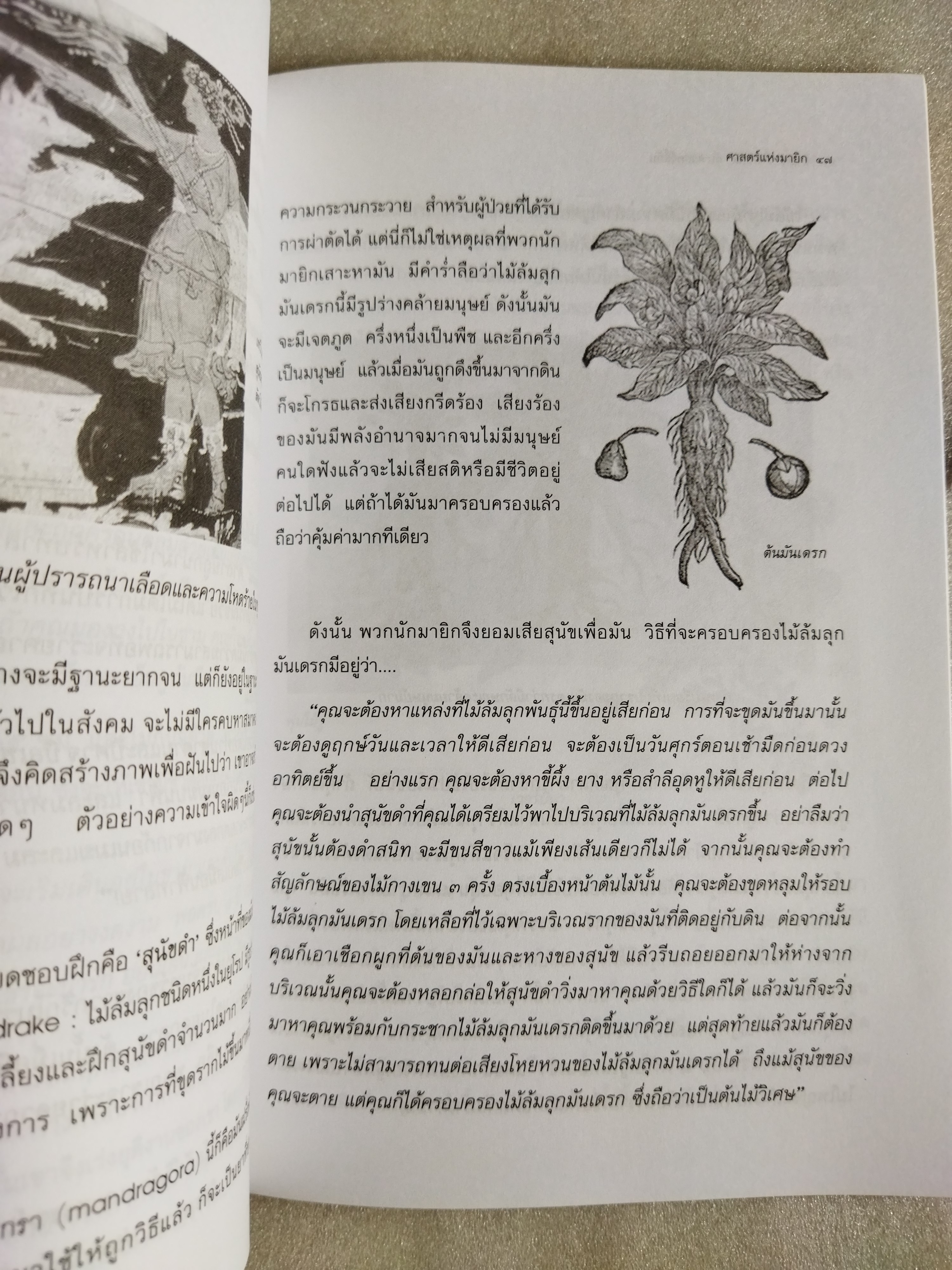 มนต์ขาวมนต์ดำกับศาสตร์ลี้ลับ