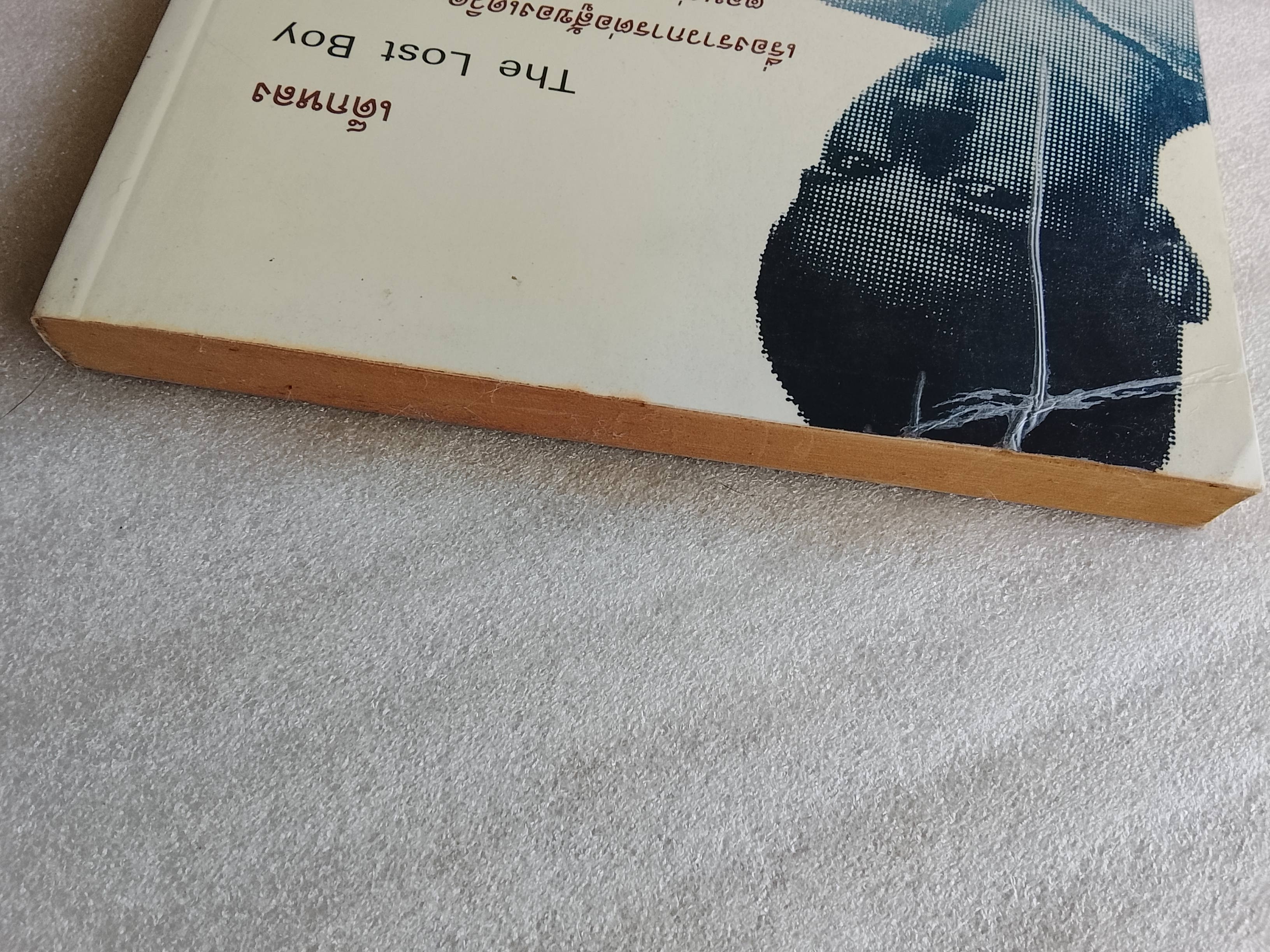 เด็กหลง / เดฟ เพลเซอร์