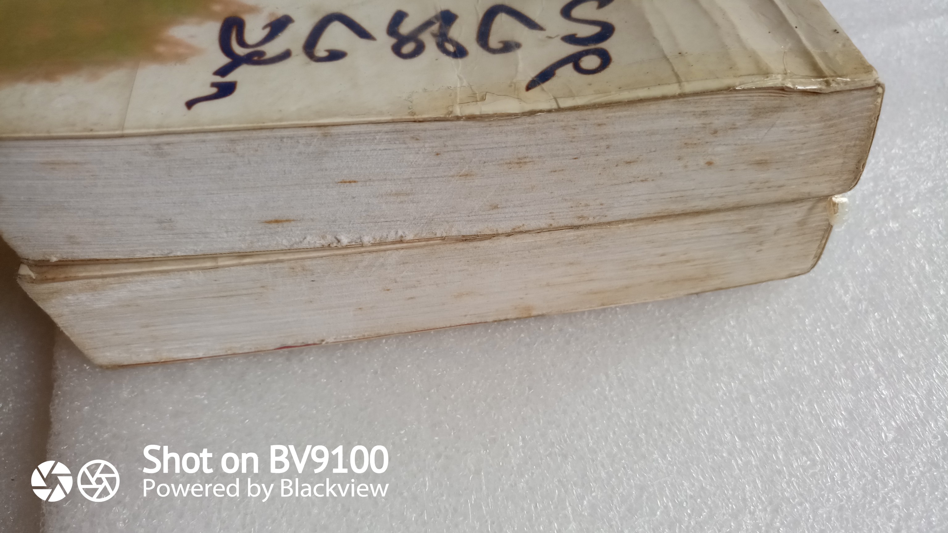 รังหงส์ / พัดชา