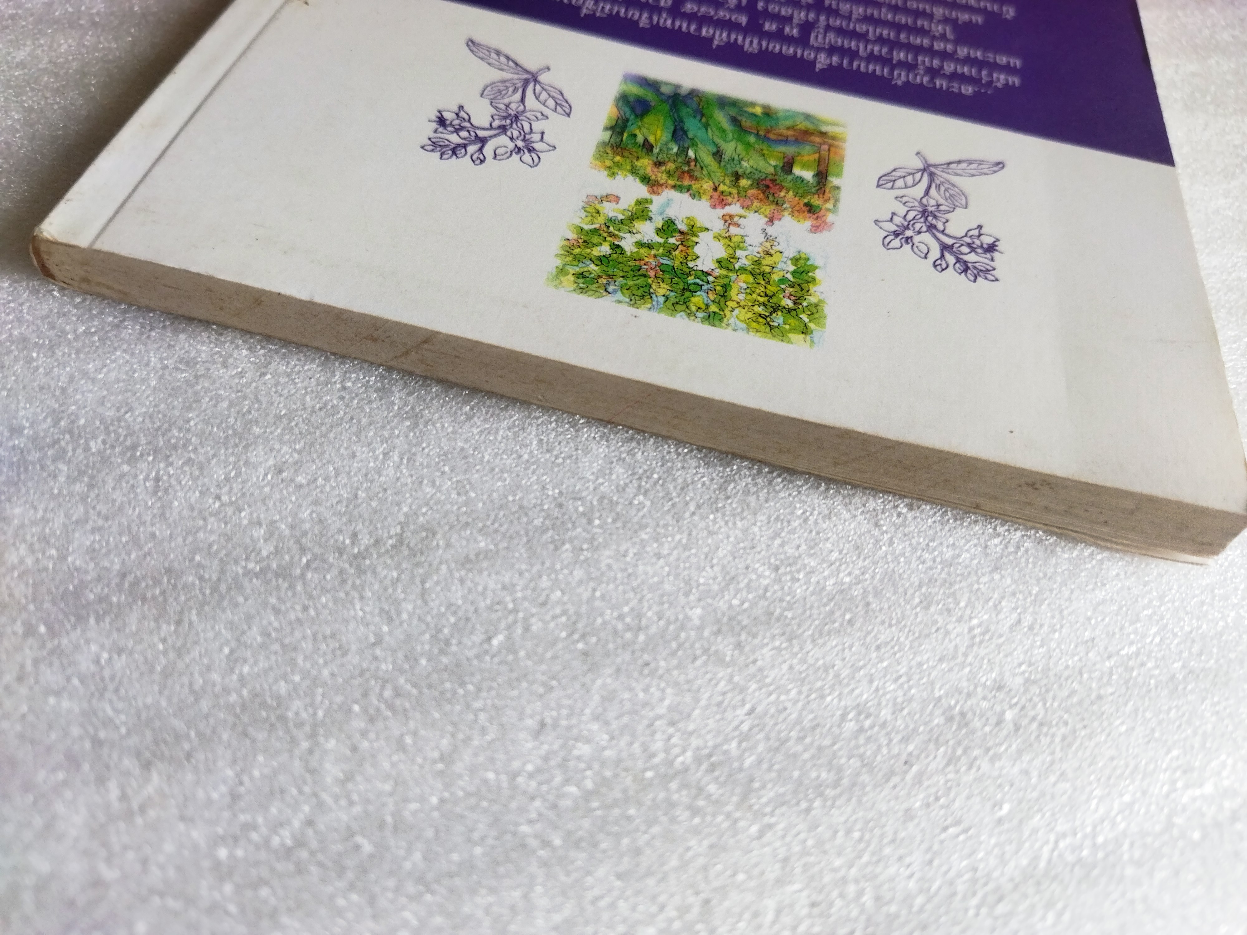 เรื่องของสัตว์ / เนือง