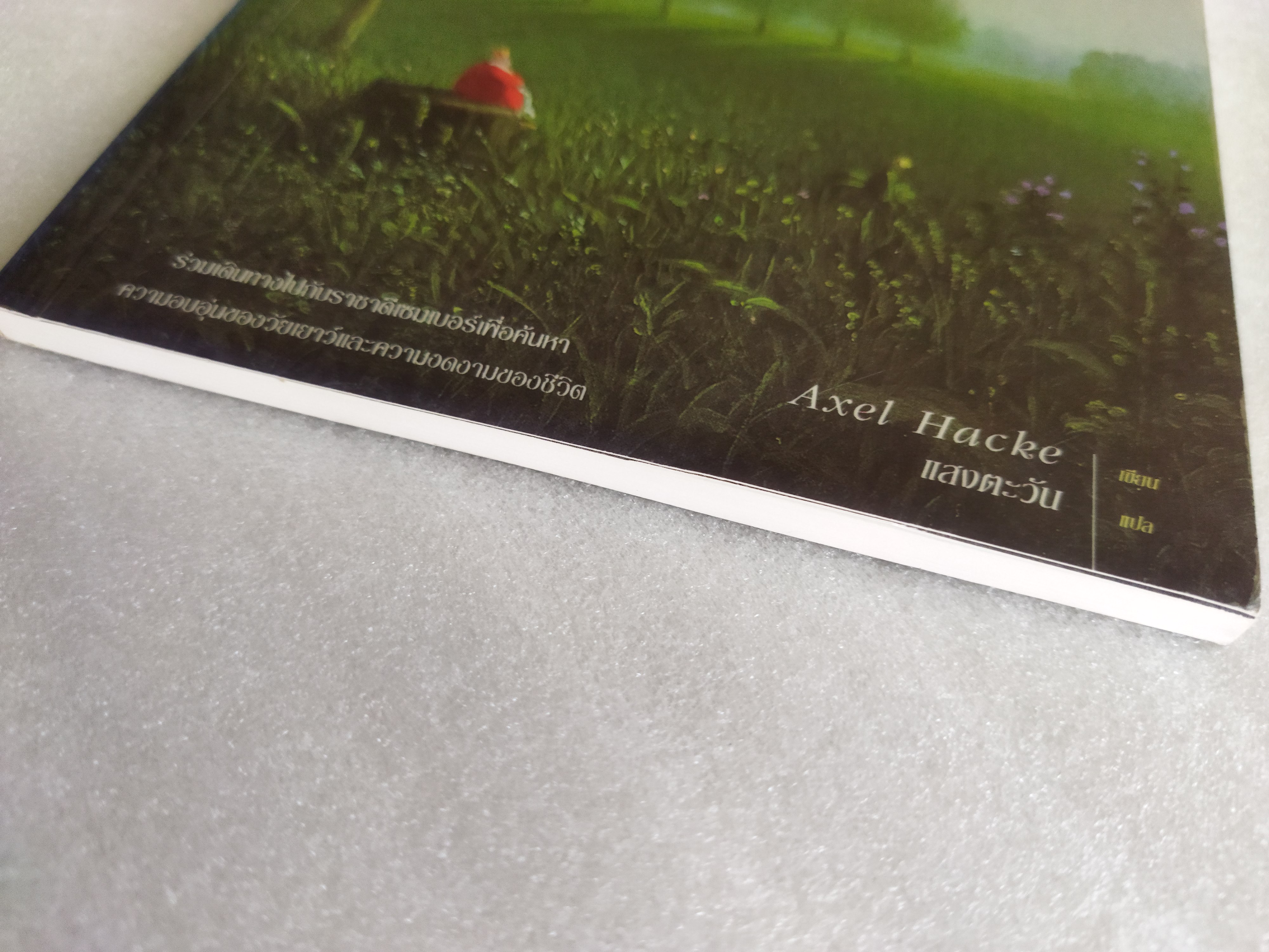 ลิตเติ้ลคิง ดีเซมเบอร์ Little King December / Axel Hacke