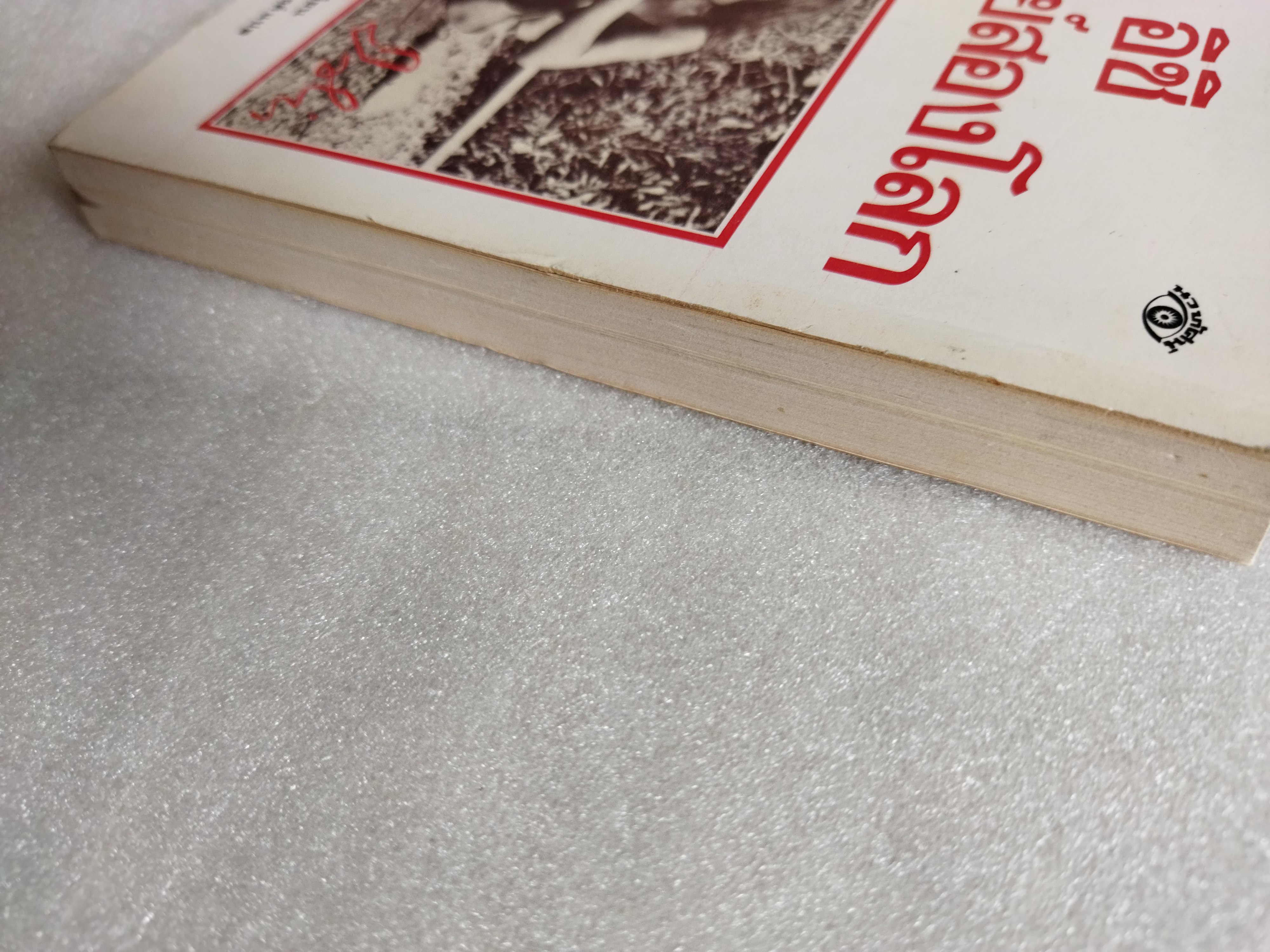 อิชิ มนุษย์สองโลก