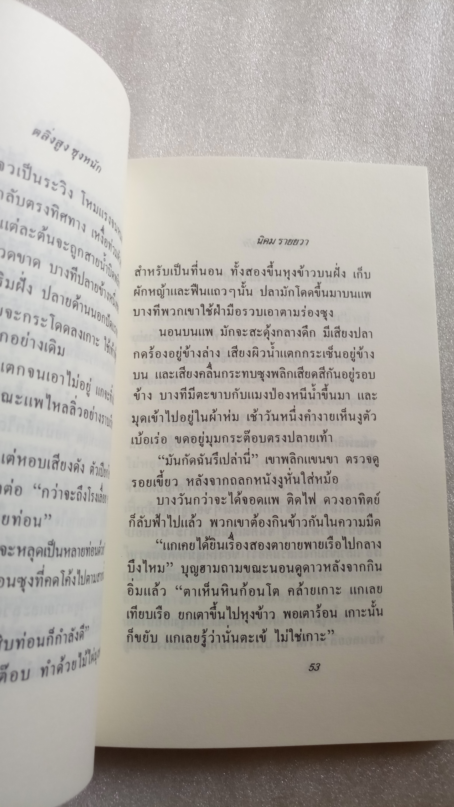 ตลิ่งสูง ซุงหนัก / นิคม รายยวา