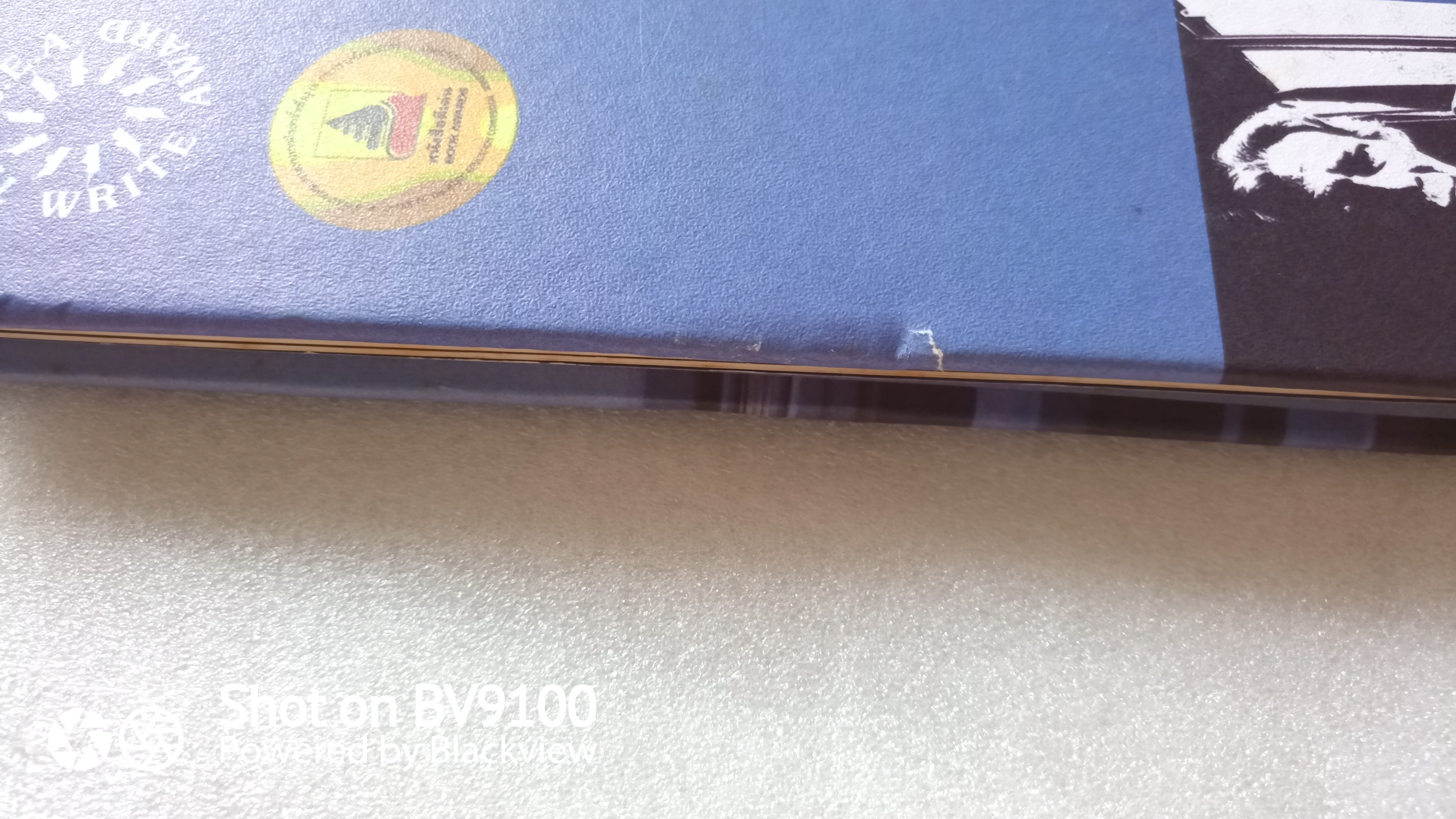 ครอบครัวกลางถนน / ศิลา โคมฉาย