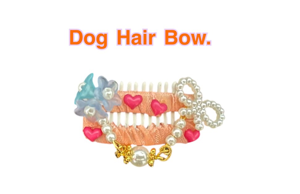 Dog hair bow.