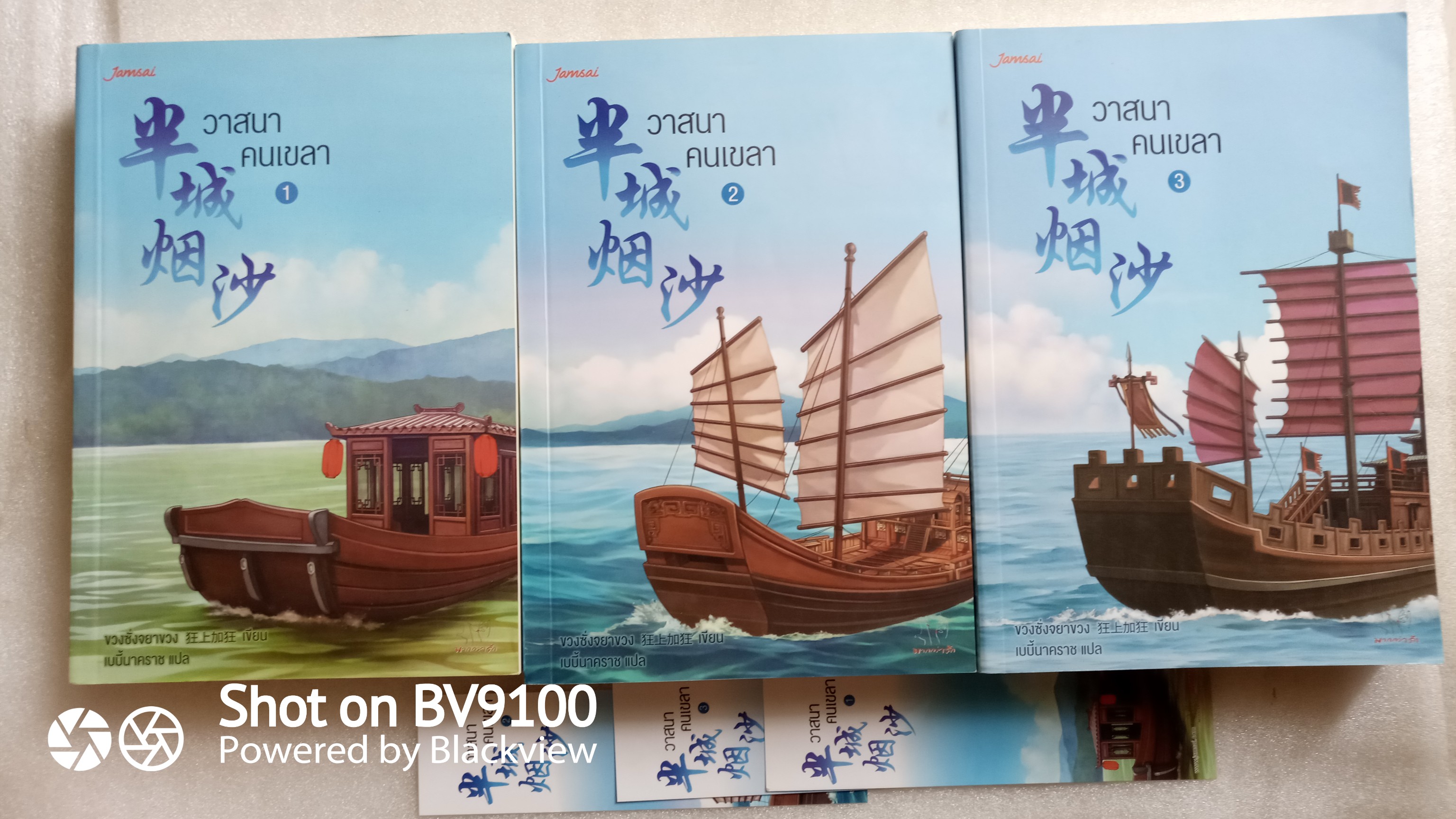 วาสนาคนเขลา 3 เล่มจบ