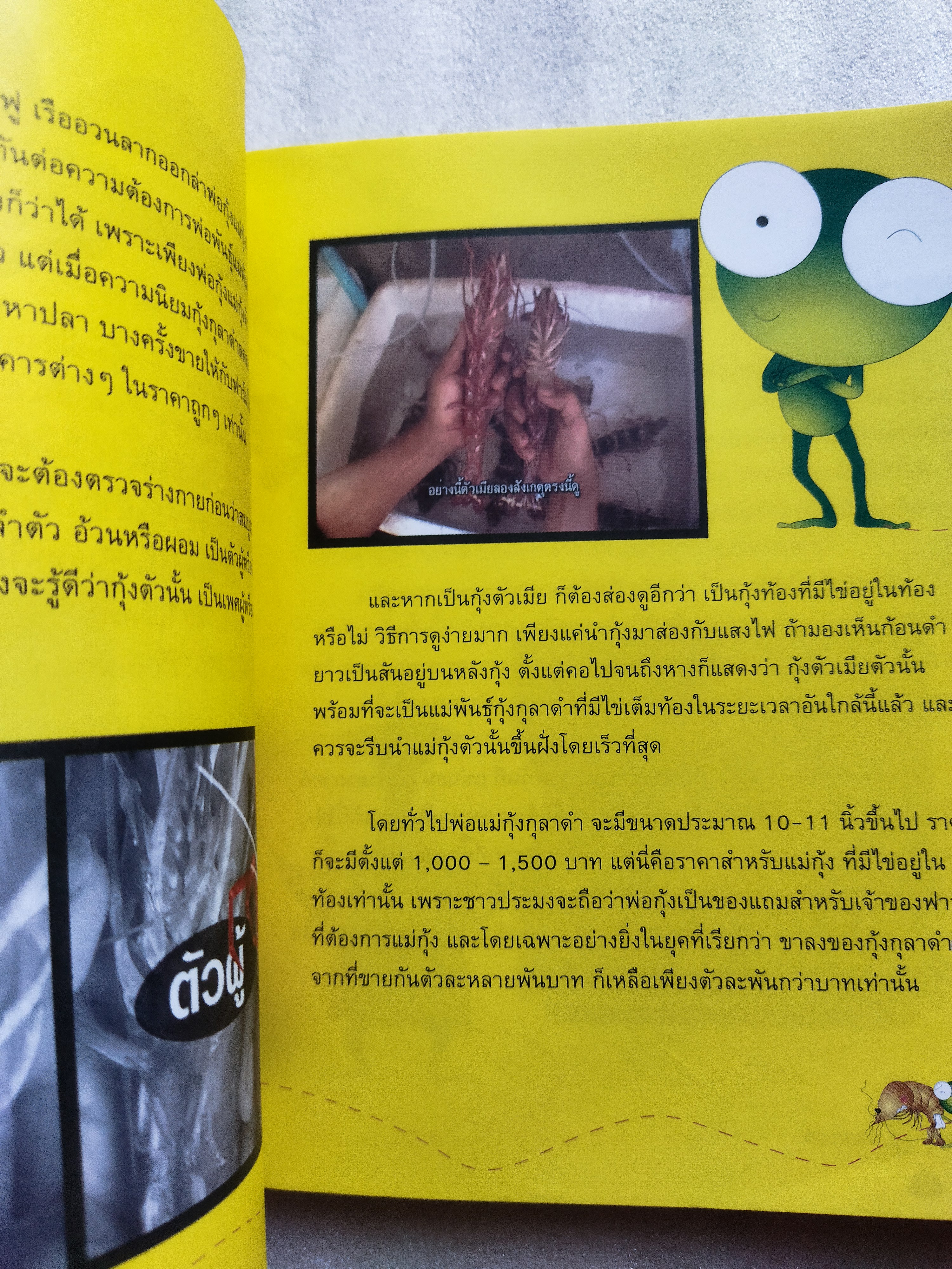 ความรู้นอกกะลา 1 (ป.ปลา)