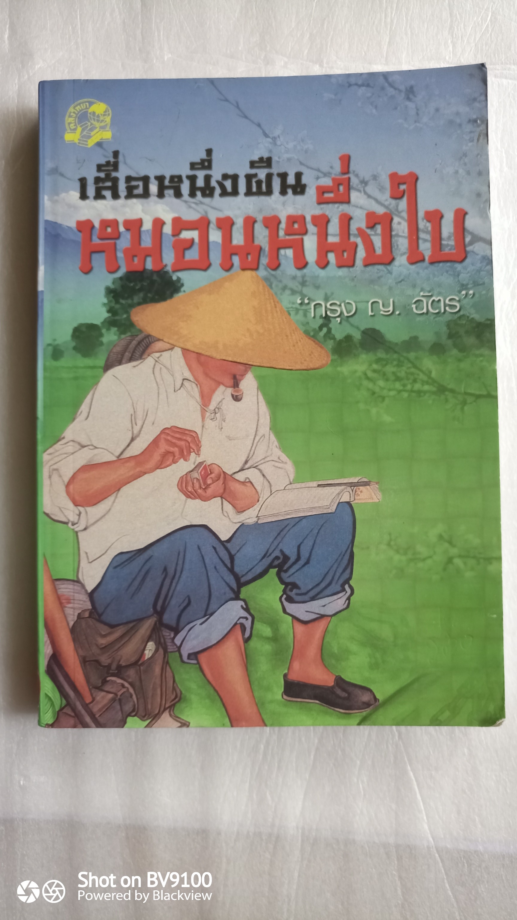 หนังสือ เสื่อหนึ่งผืน หมอนหนึ่งใบ