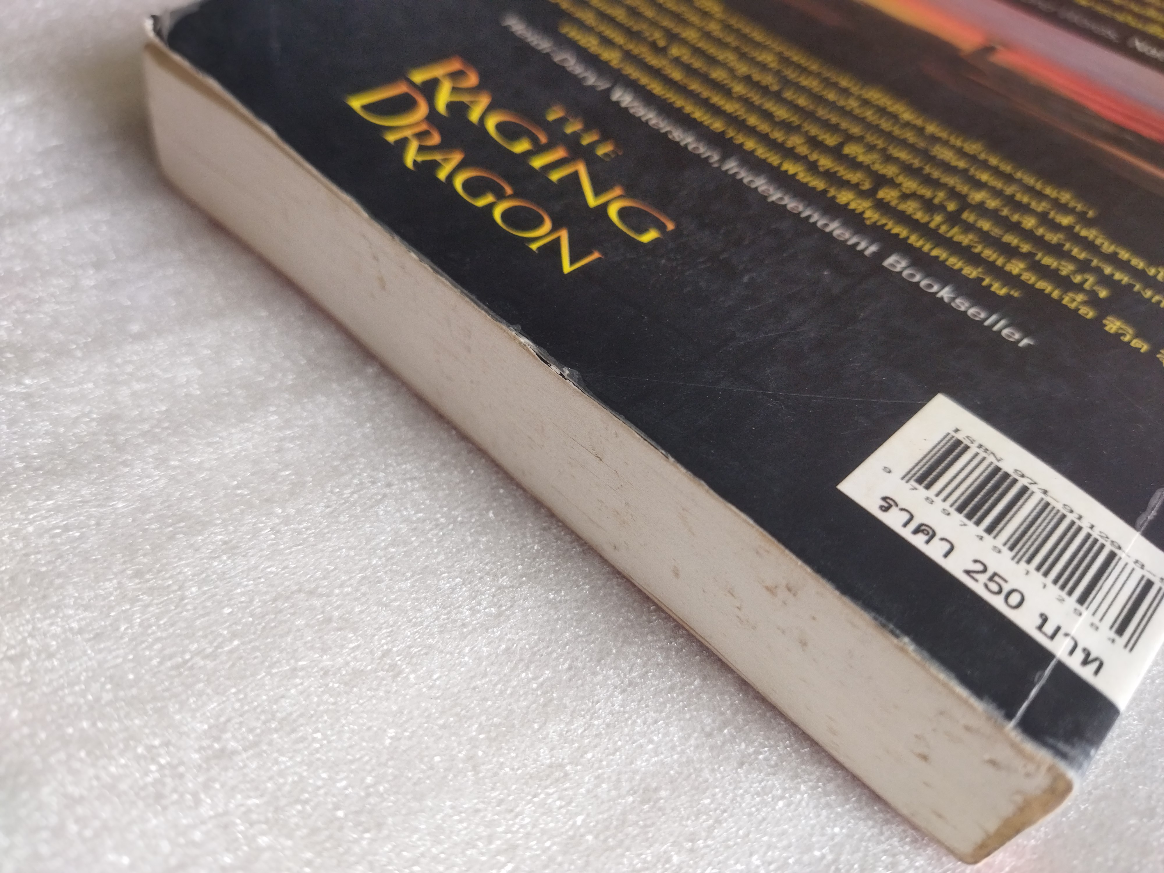 วิลเลี่ยมเด็กอัจฉริยะและชัยชนะของเดอโกล (The Raging Dragon)