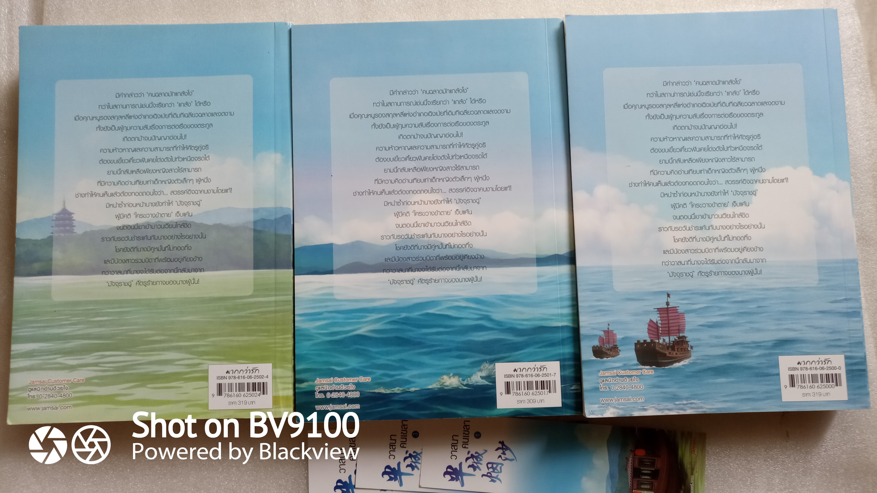 วาสนาคนเขลา 3 เล่มจบ