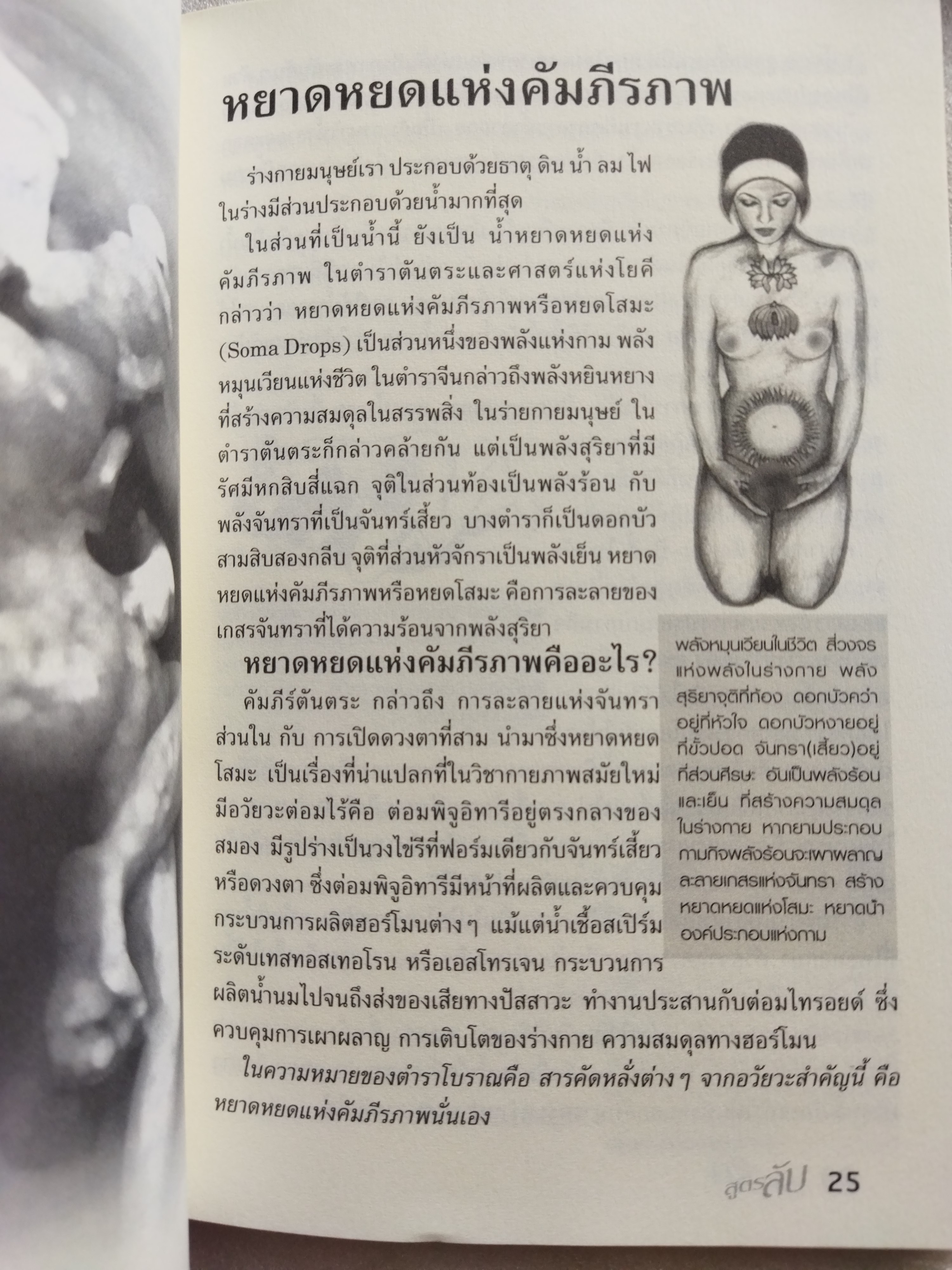 ศาสตร์รักสูตรลับ เล่ม 1