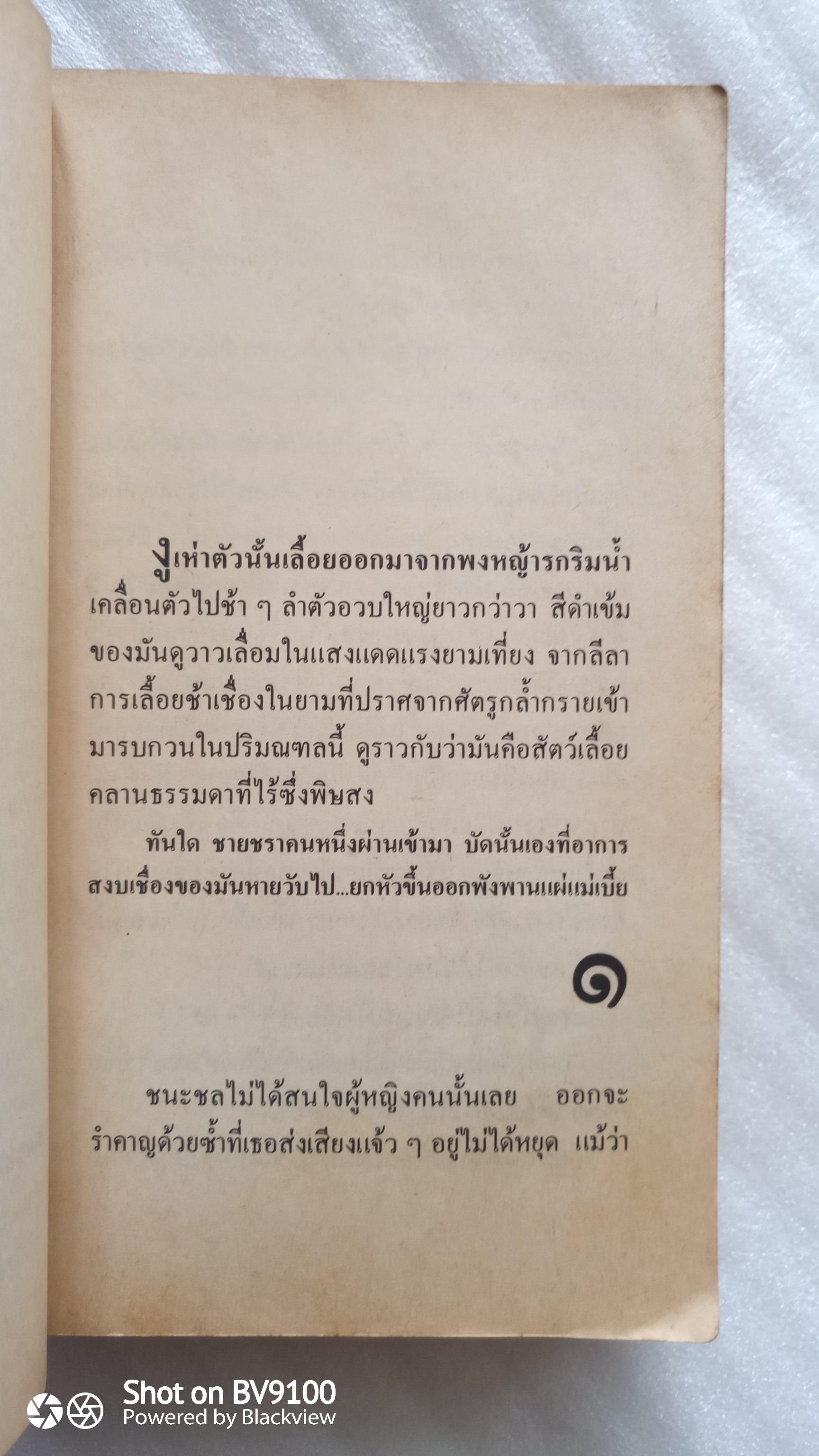 แม่เบี้ย / วานิช จรุงกิจอนันต์